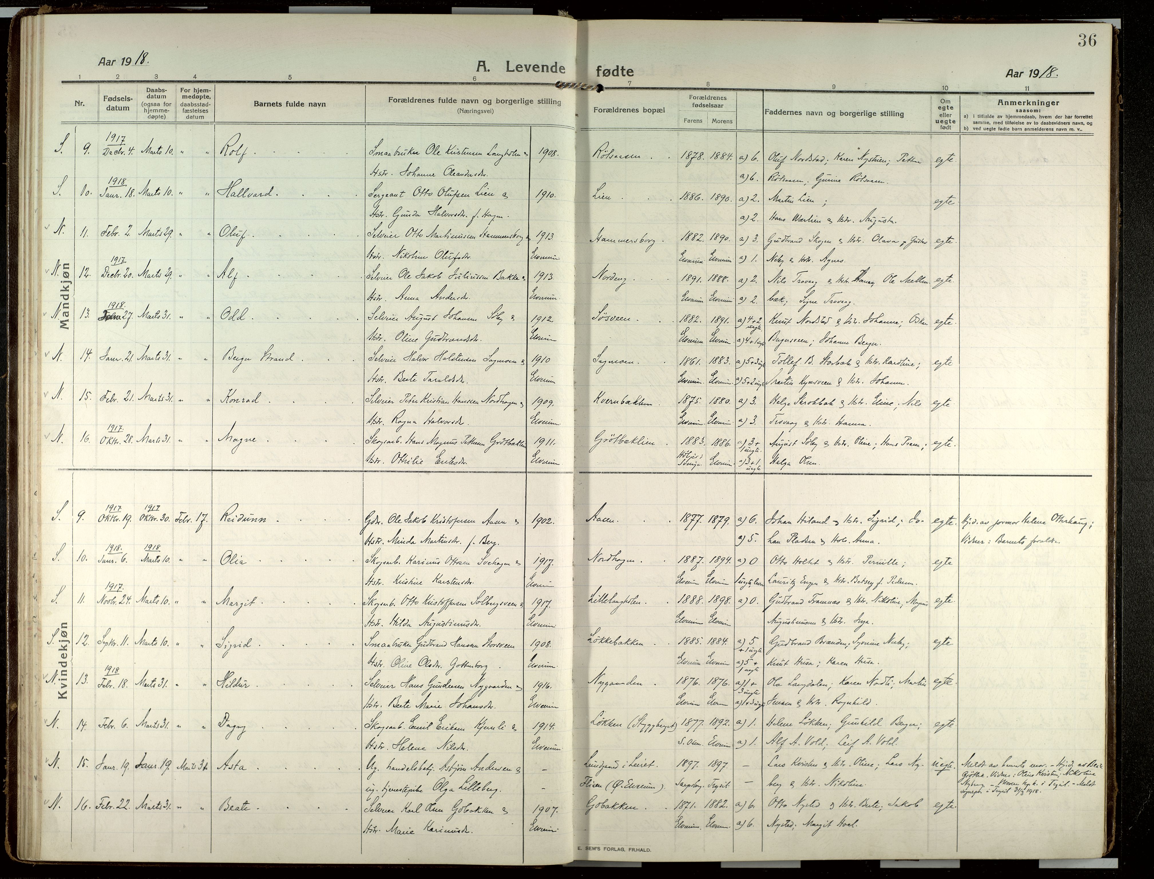 Elverum prestekontor, AV/SAH-PREST-044/H/Ha/Haa/L0022: Parish register (official) no. 22, 1913-1924, p. 36