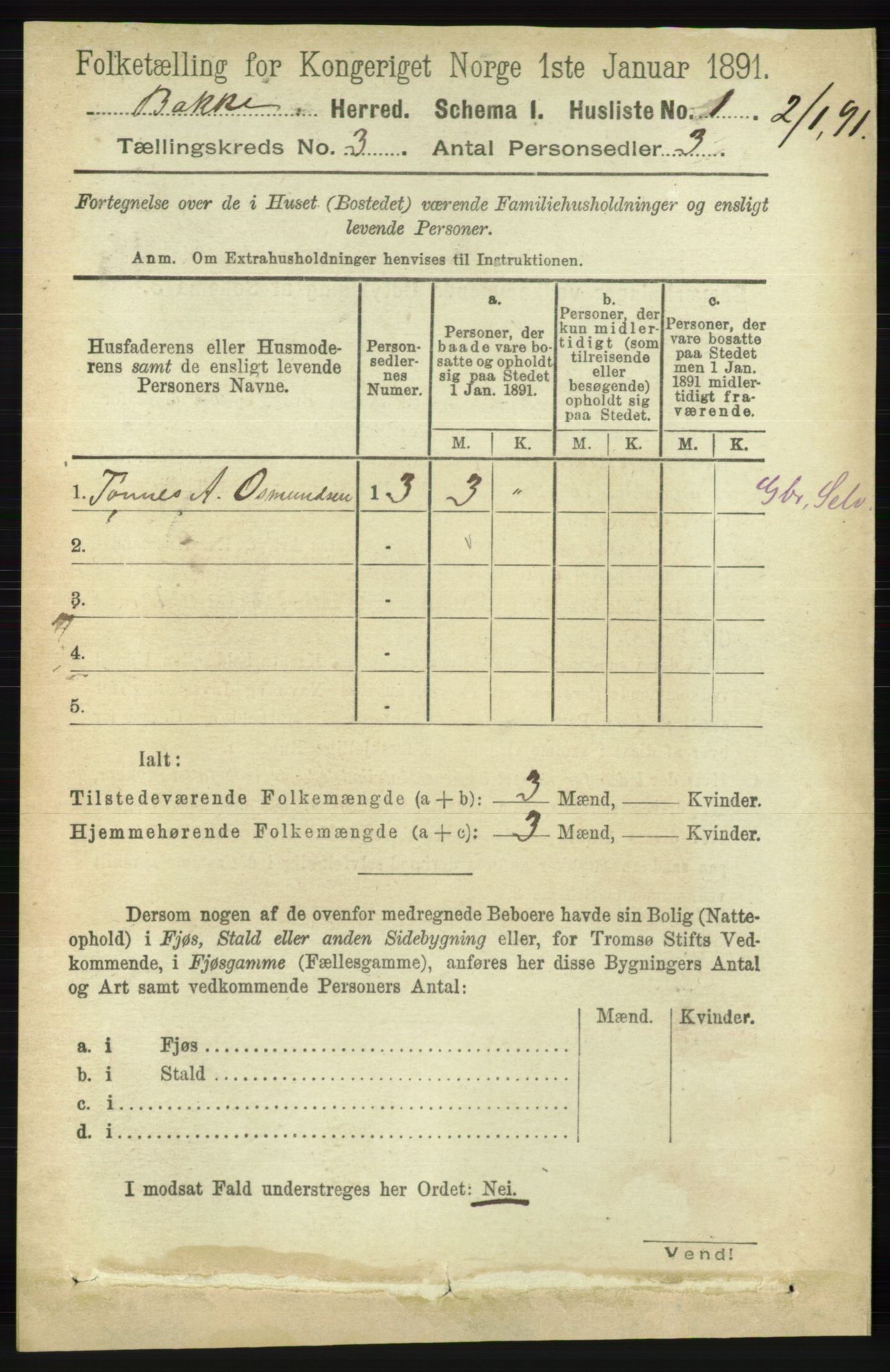 RA, 1891 census for 1045 Bakke, 1891, p. 389