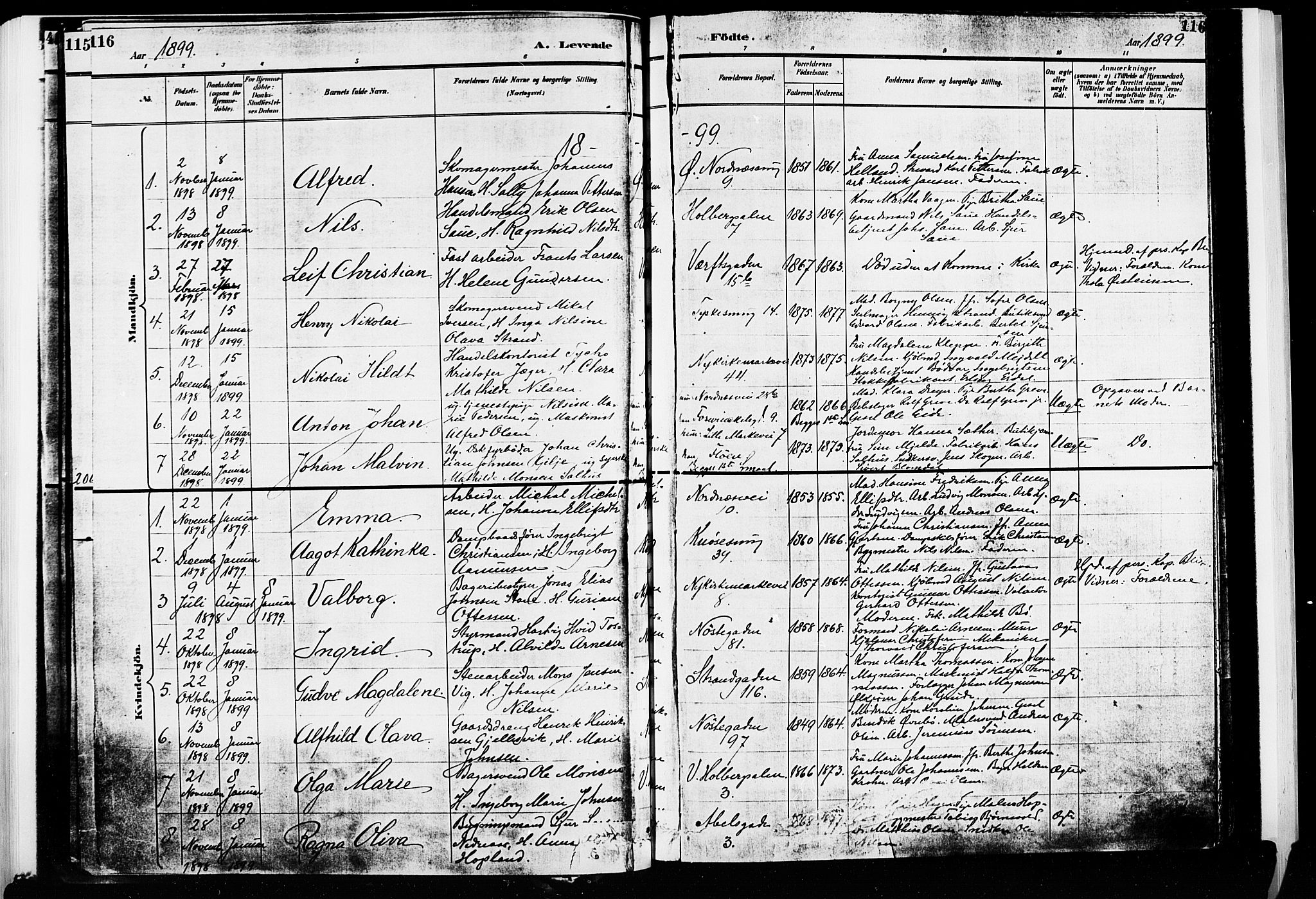 Nykirken Sokneprestembete, SAB/A-77101/H/Hab: Parish register (copy) no. B 3, 1895-1899, p. 116