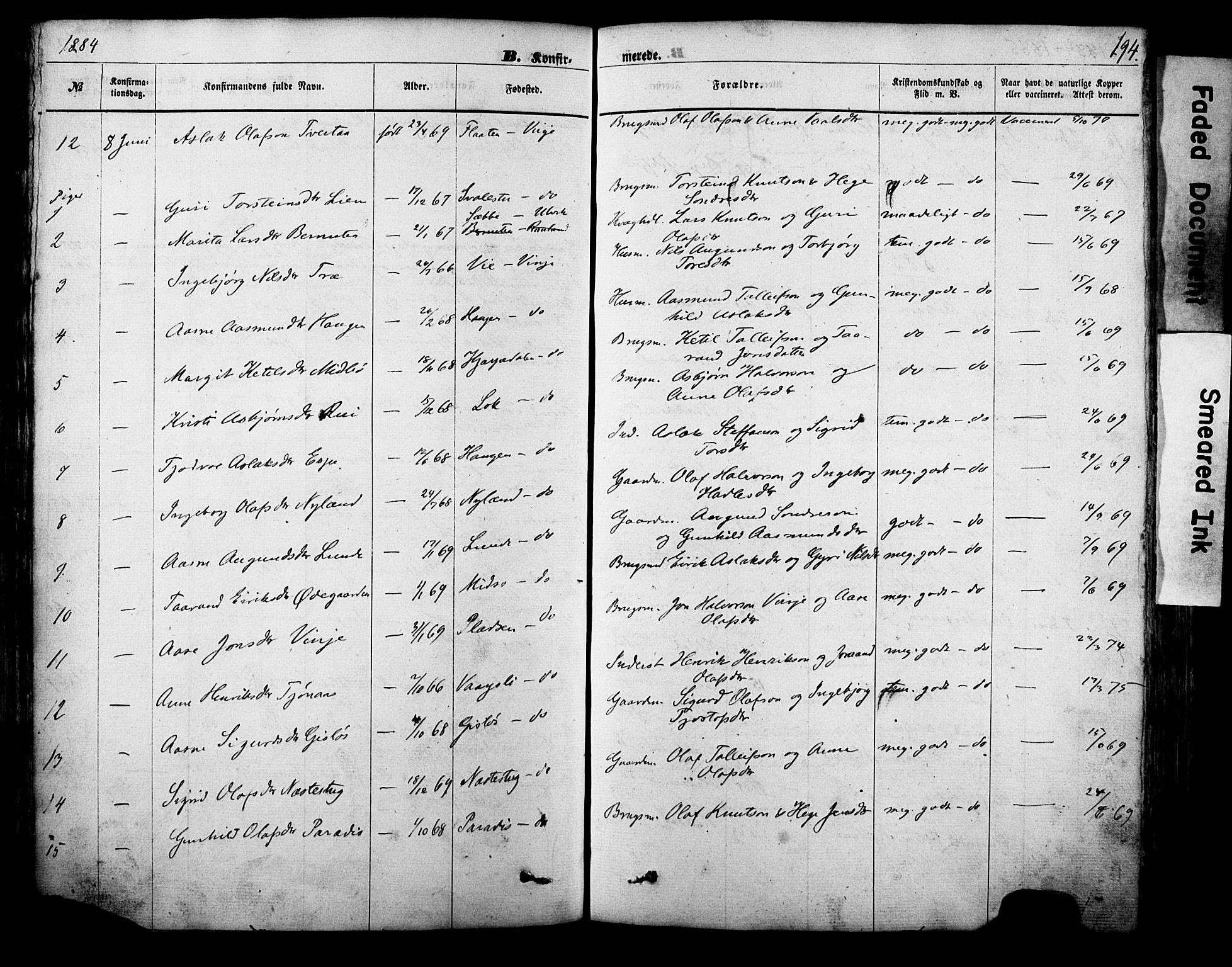 Vinje kirkebøker, SAKO/A-312/F/Fa/L0005: Parish register (official) no. I 5, 1870-1886, p. 194