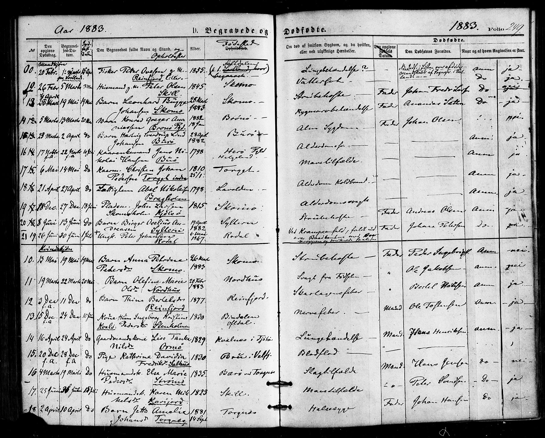 Ministerialprotokoller, klokkerbøker og fødselsregistre - Nordland, SAT/A-1459/813/L0199: Parish register (official) no. 813A09, 1875-1885, p. 249