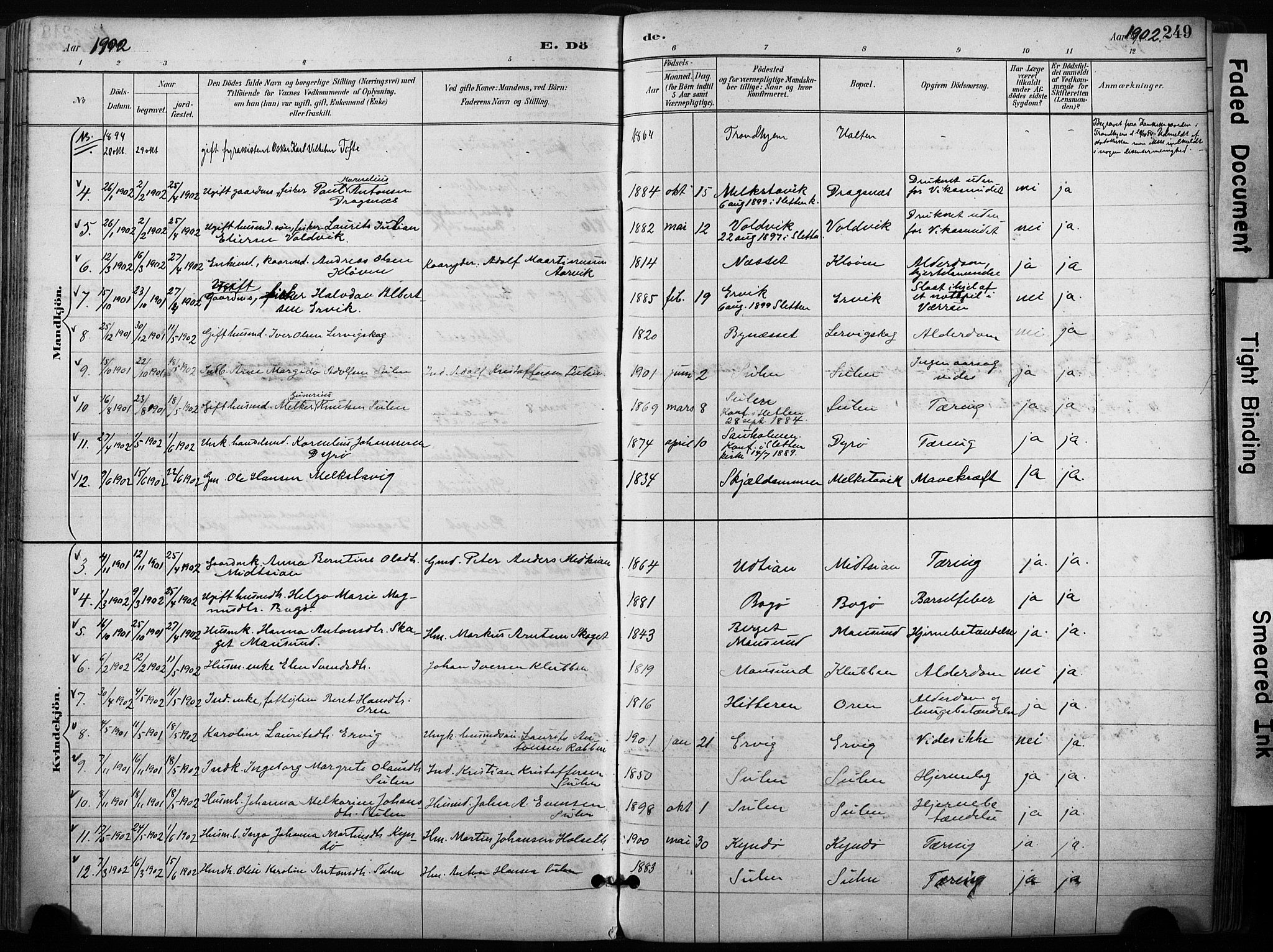 Ministerialprotokoller, klokkerbøker og fødselsregistre - Sør-Trøndelag, AV/SAT-A-1456/640/L0579: Parish register (official) no. 640A04, 1889-1902, p. 249