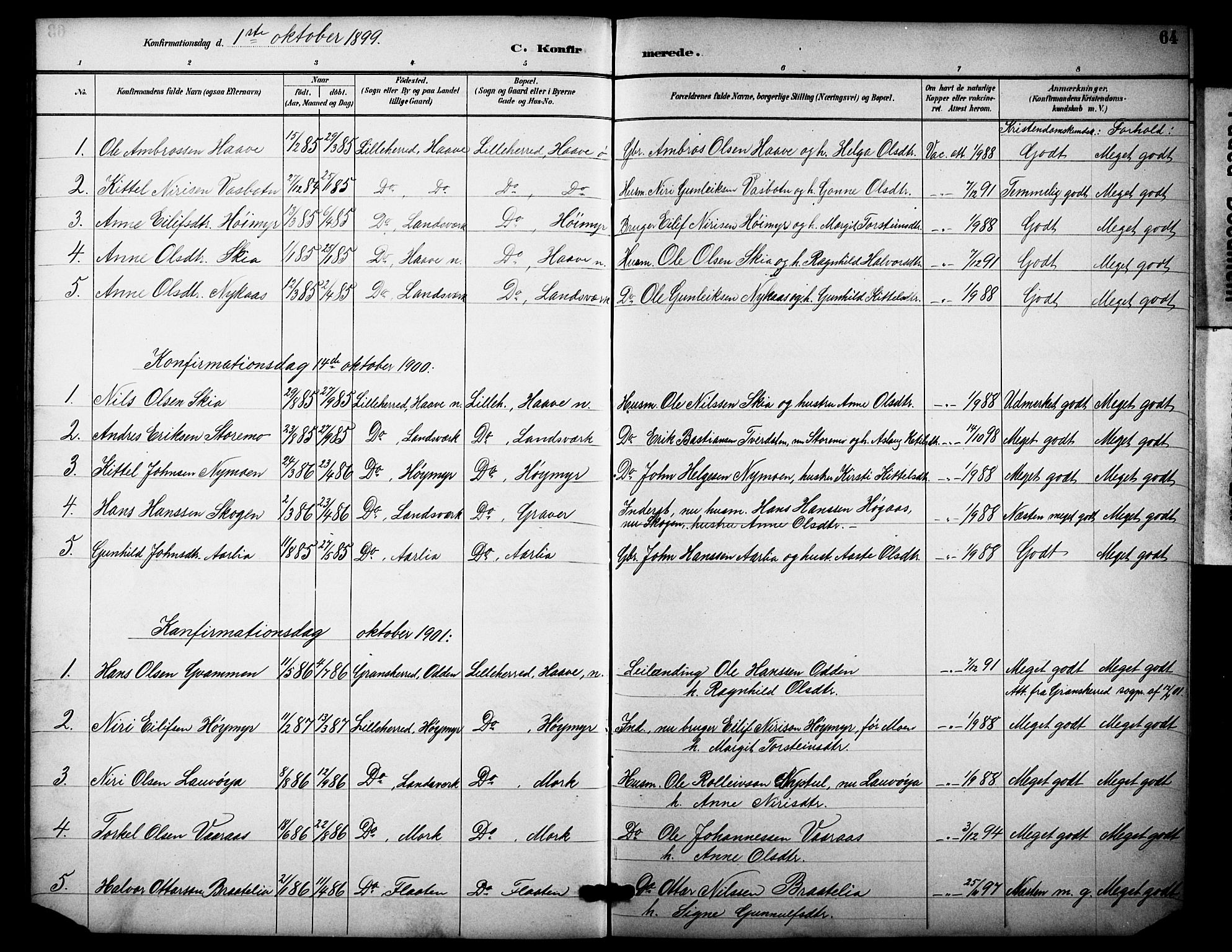 Heddal kirkebøker, SAKO/A-268/F/Fb/L0001: Parish register (official) no. II 1, 1884-1910, p. 64