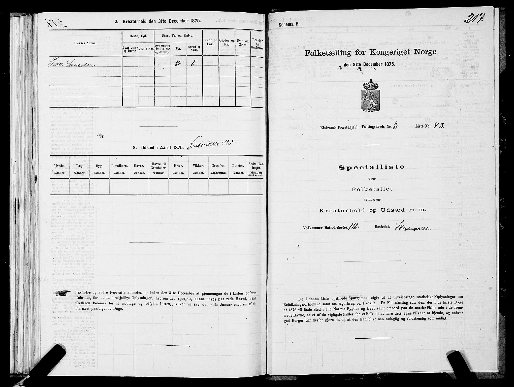 SATØ, 1875 census for 2020P Kistrand, 1875, p. 1217