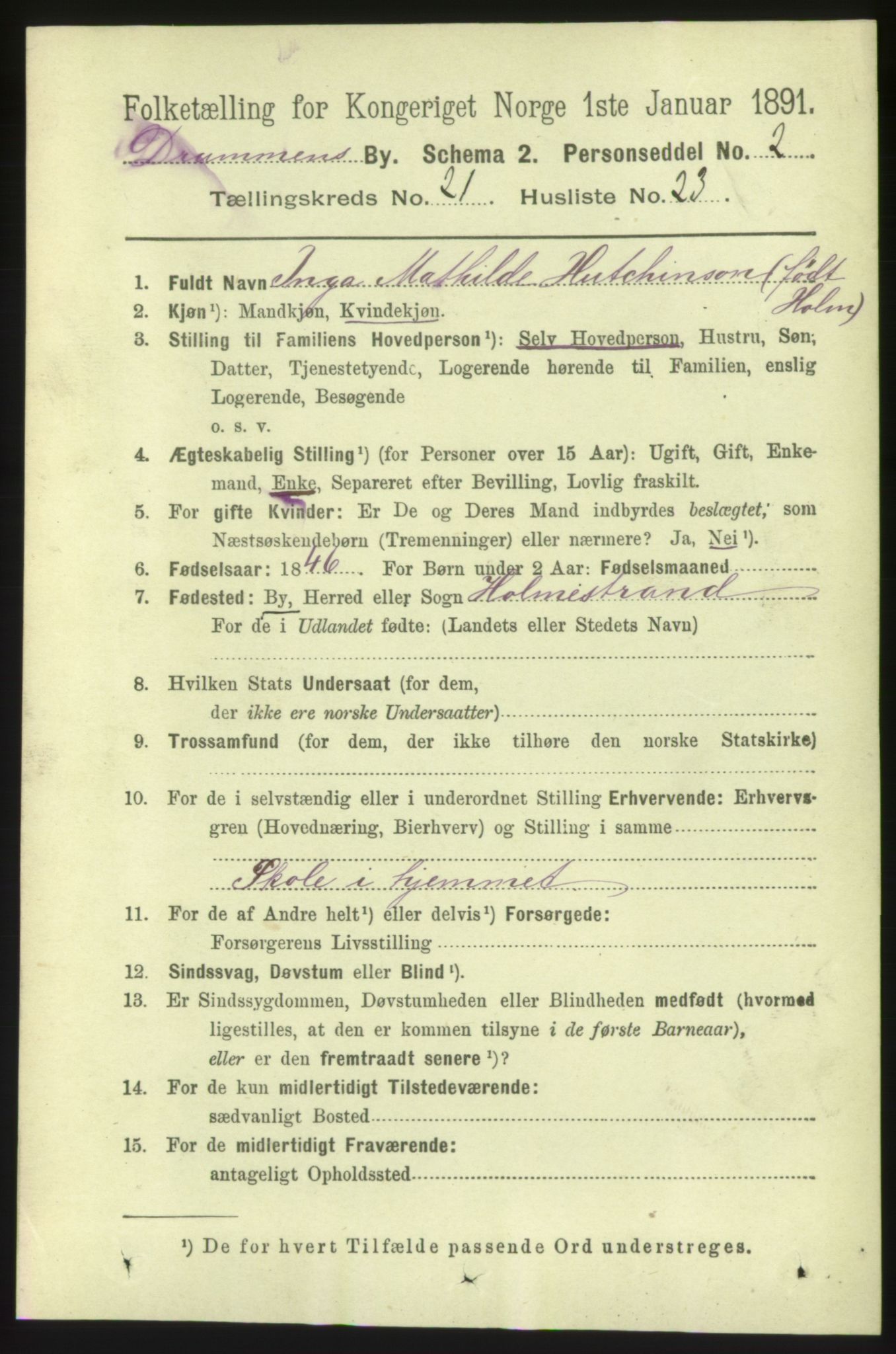 RA, 1891 census for 0602 Drammen, 1891, p. 13295