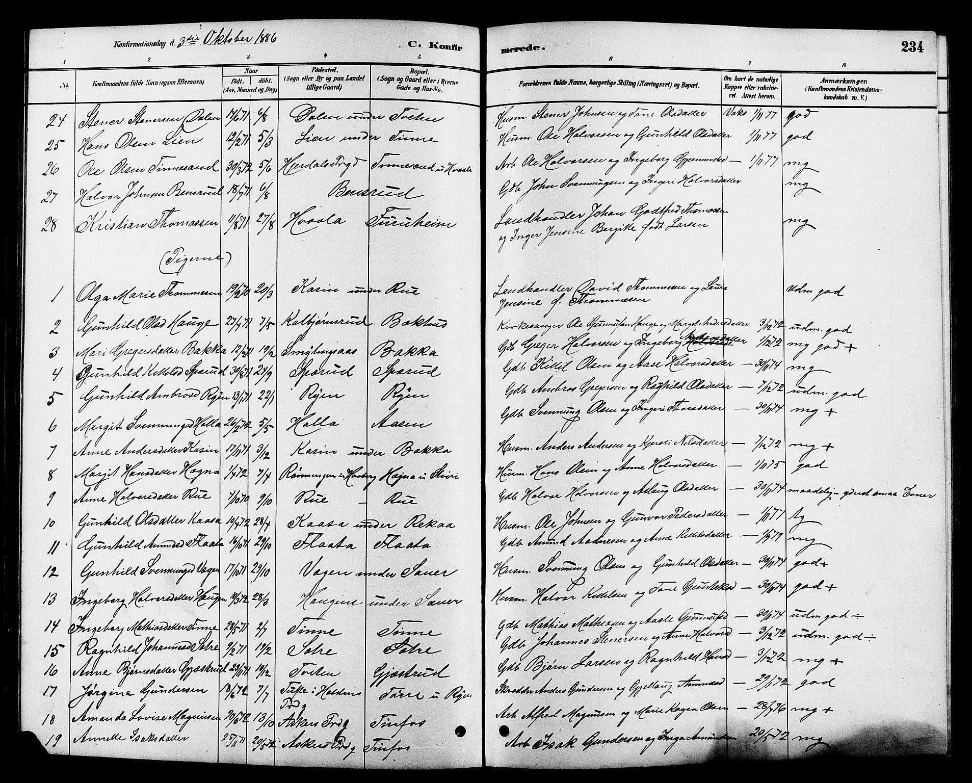 Heddal kirkebøker, SAKO/A-268/G/Ga/L0002: Parish register (copy) no. I 2, 1879-1908, p. 234