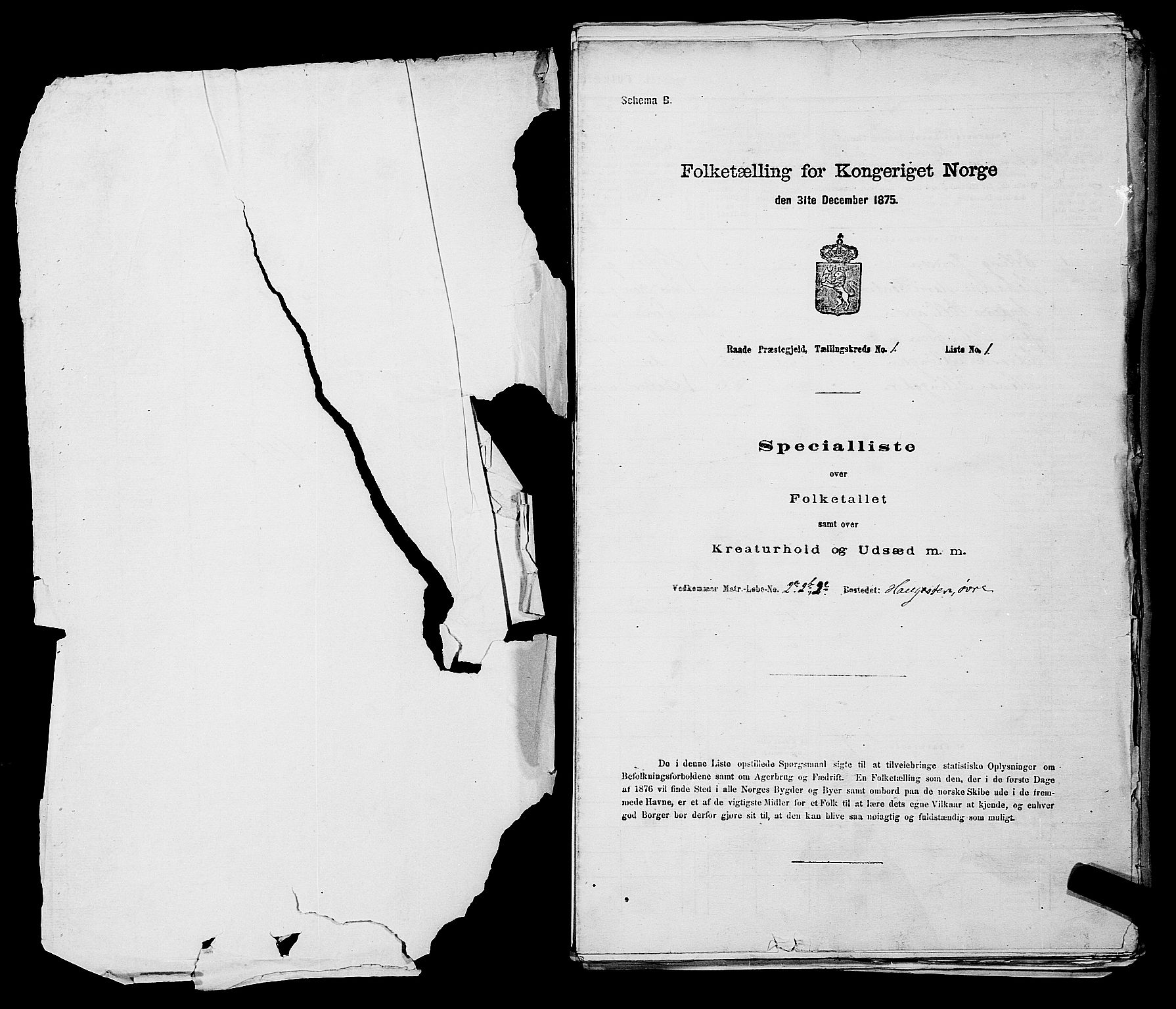 RA, 1875 census for 0135P Råde, 1875, p. 30