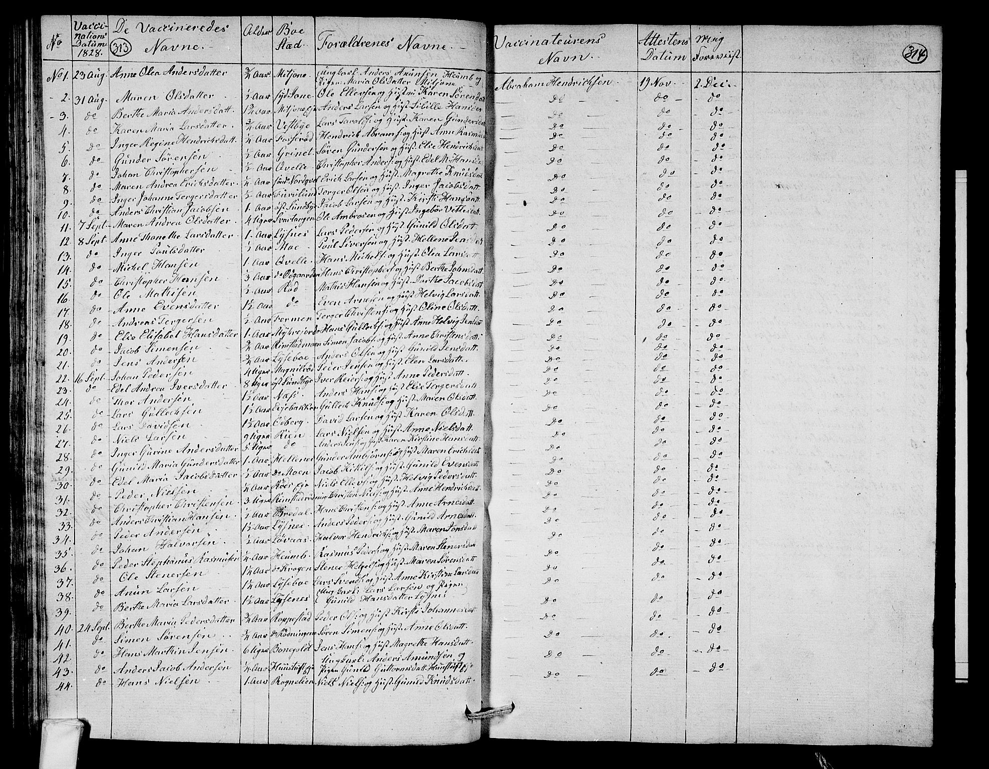 Hedrum kirkebøker, AV/SAKO-A-344/F/Fa/L0003: Parish register (official) no. I 3, 1807-1816, p. 313-314