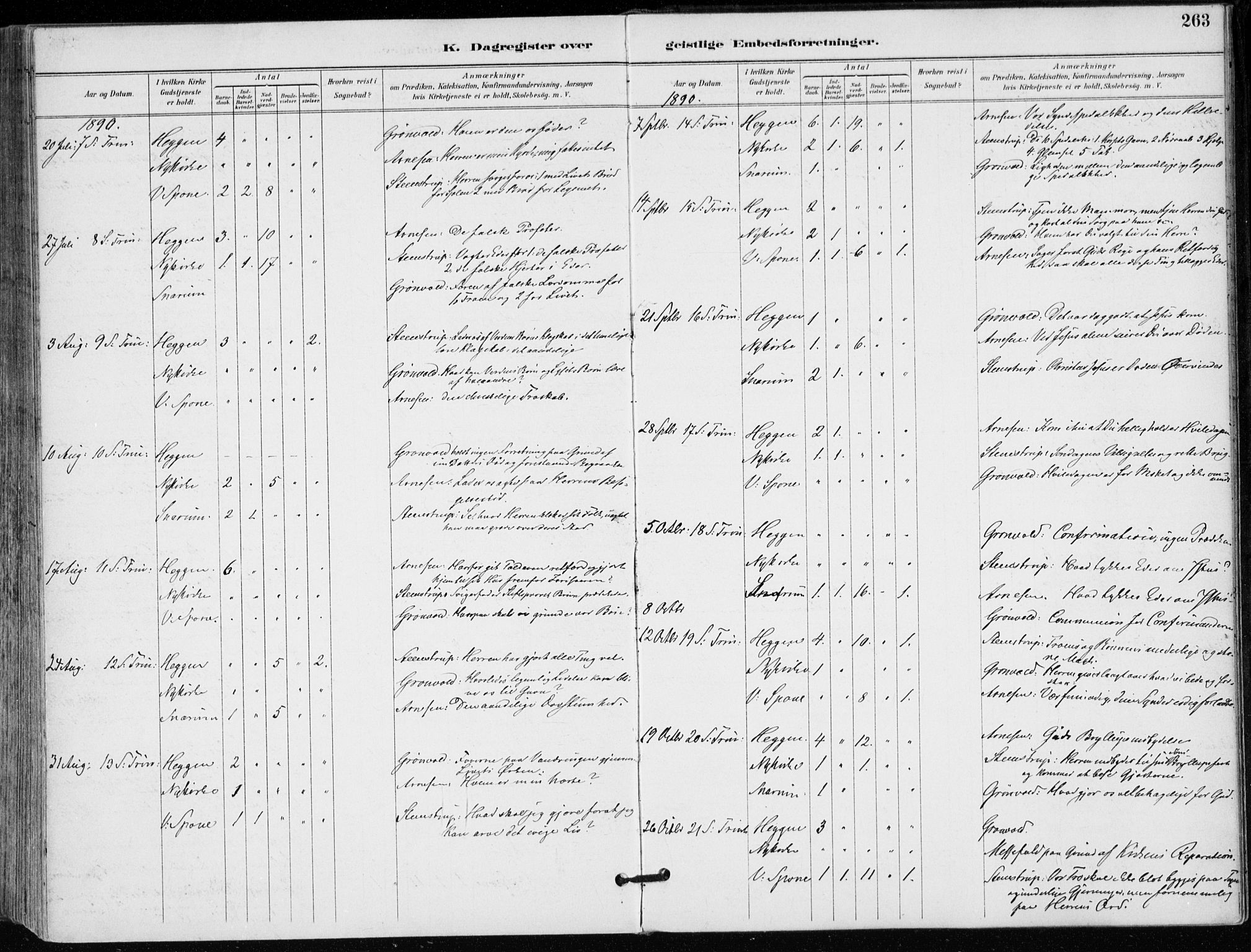 Modum kirkebøker, AV/SAKO-A-234/F/Fa/L0012: Parish register (official) no. 12, 1890-1898, p. 263