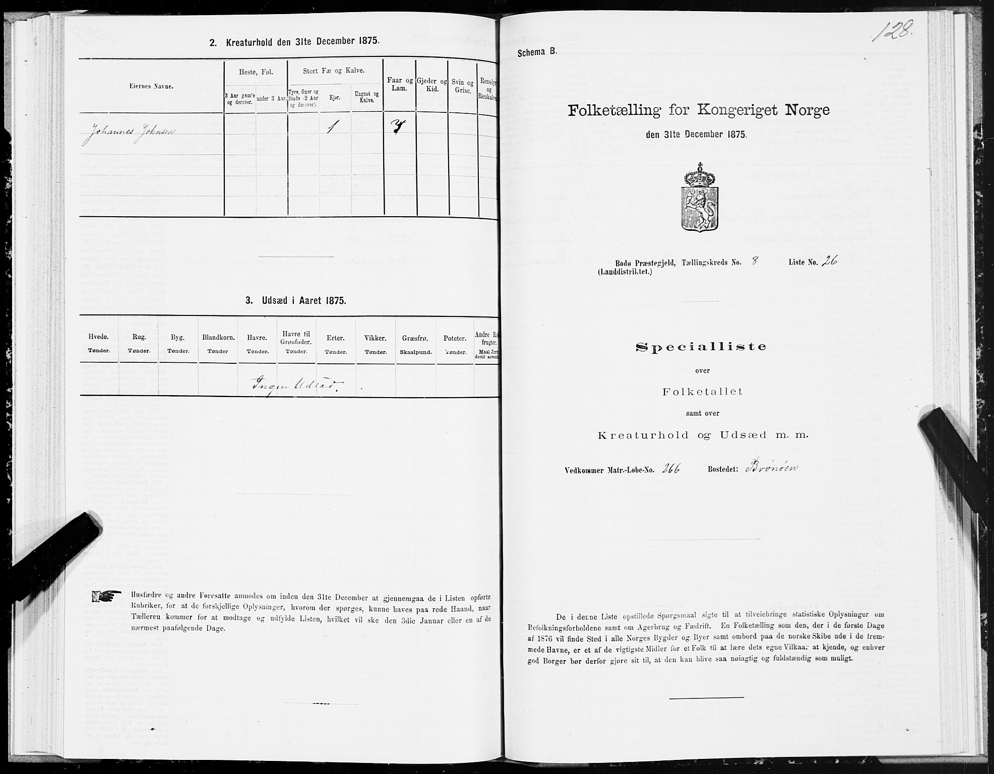 SAT, 1875 census for 1843L Bodø/Bodø, 1875, p. 4128