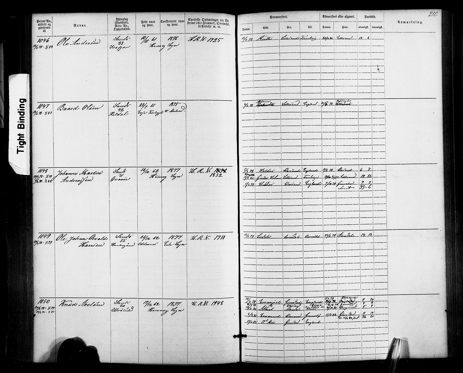 Lillesand mønstringskrets, SAK/2031-0014/F/Fa/L0002: Annotasjonsrulle nr 1-1910 med register, W-8, 1868-1891, p. 216