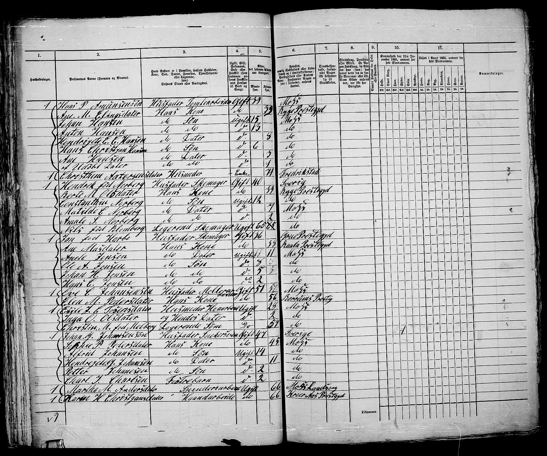 RA, 1865 census for Moss/Moss, 1865, p. 390