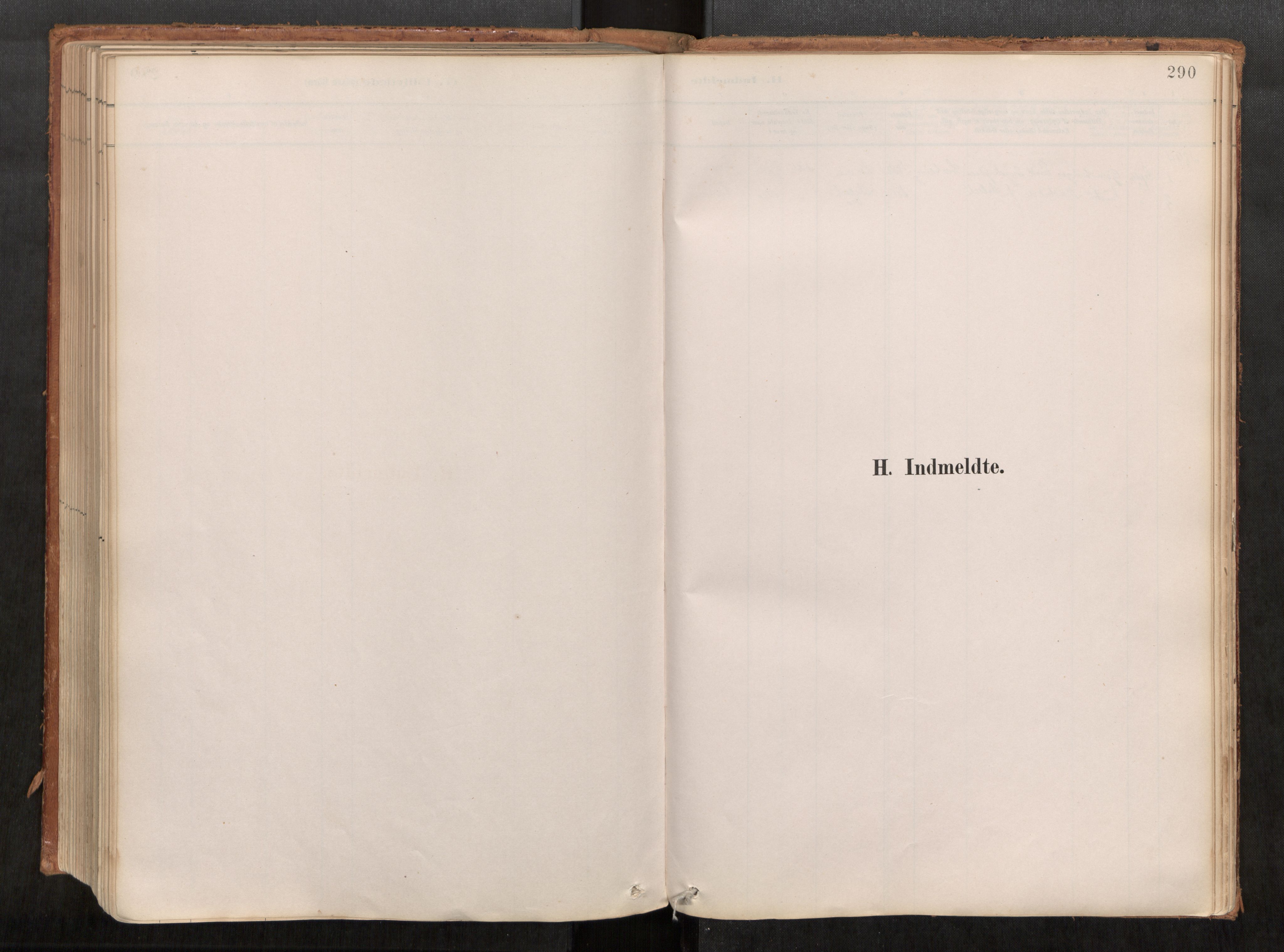 Ministerialprotokoller, klokkerbøker og fødselsregistre - Møre og Romsdal, AV/SAT-A-1454/542/L0553: Parish register (official) no. 542A03, 1885-1925, p. 290