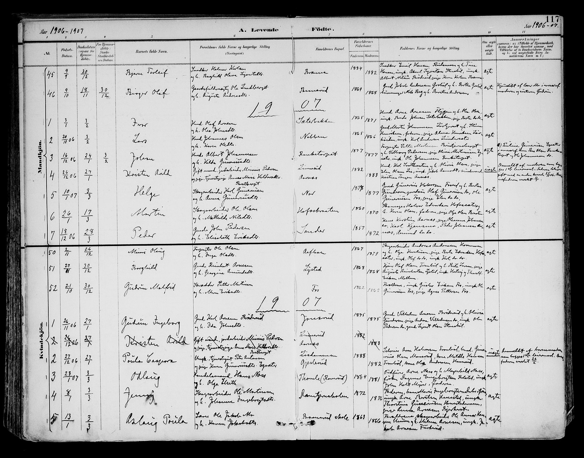 Brandval prestekontor, SAH/PREST-034/H/Ha/Haa/L0003: Parish register (official) no. 3, 1894-1909, p. 117