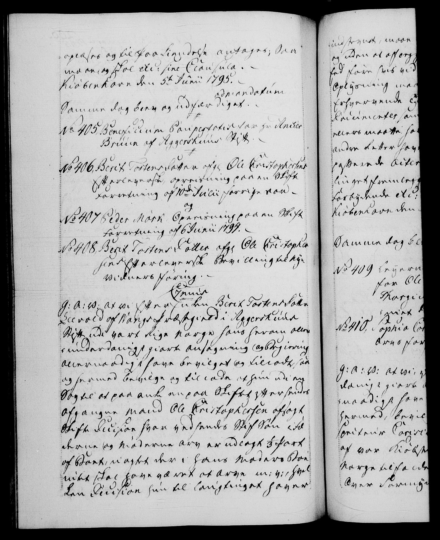 Danske Kanselli 1572-1799, AV/RA-EA-3023/F/Fc/Fca/Fcaa/L0056: Norske registre, 1795-1796, p. 206b