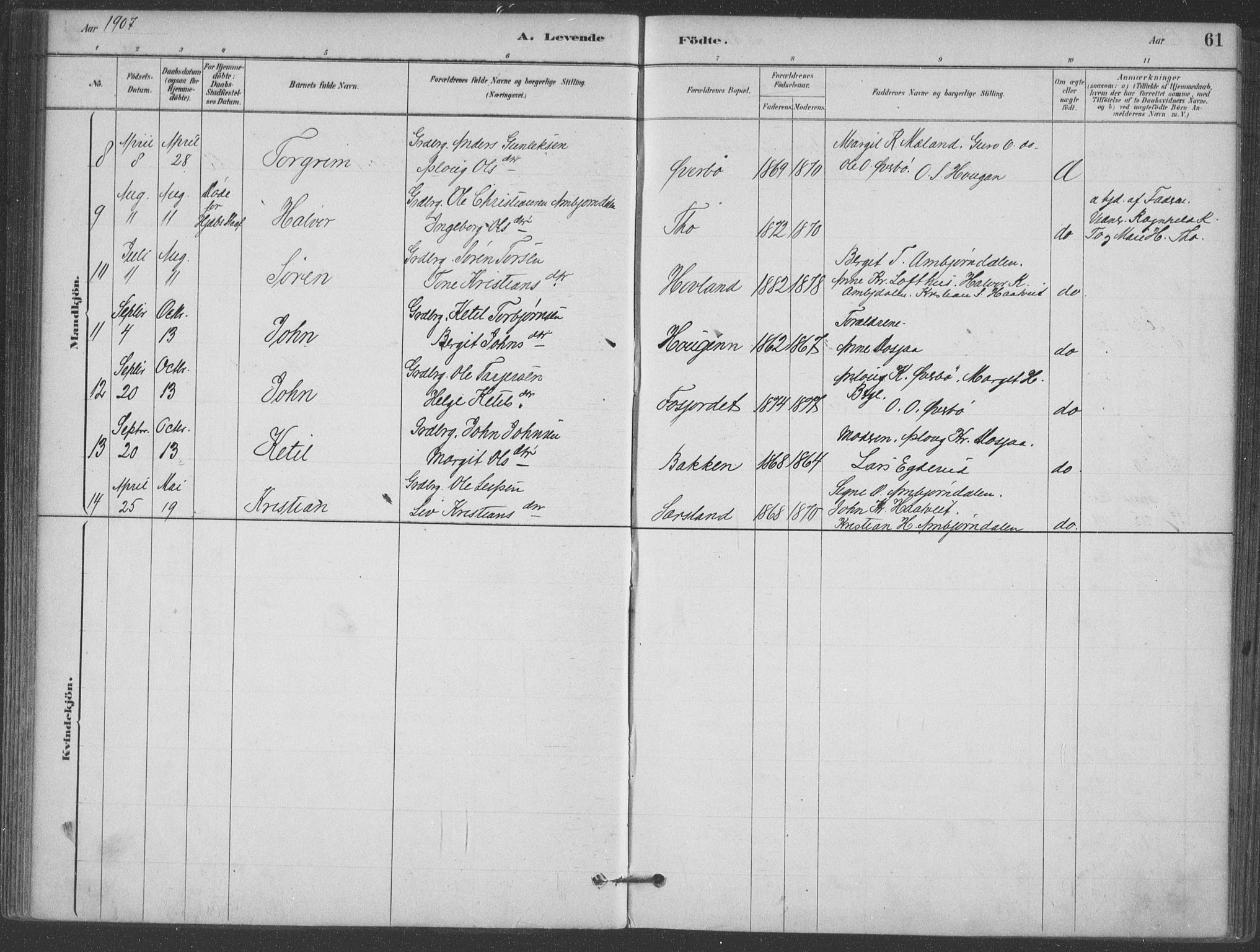 Hjartdal kirkebøker, SAKO/A-270/F/Fa/L0010: Parish register (official) no. I 10, 1880-1929, p. 61