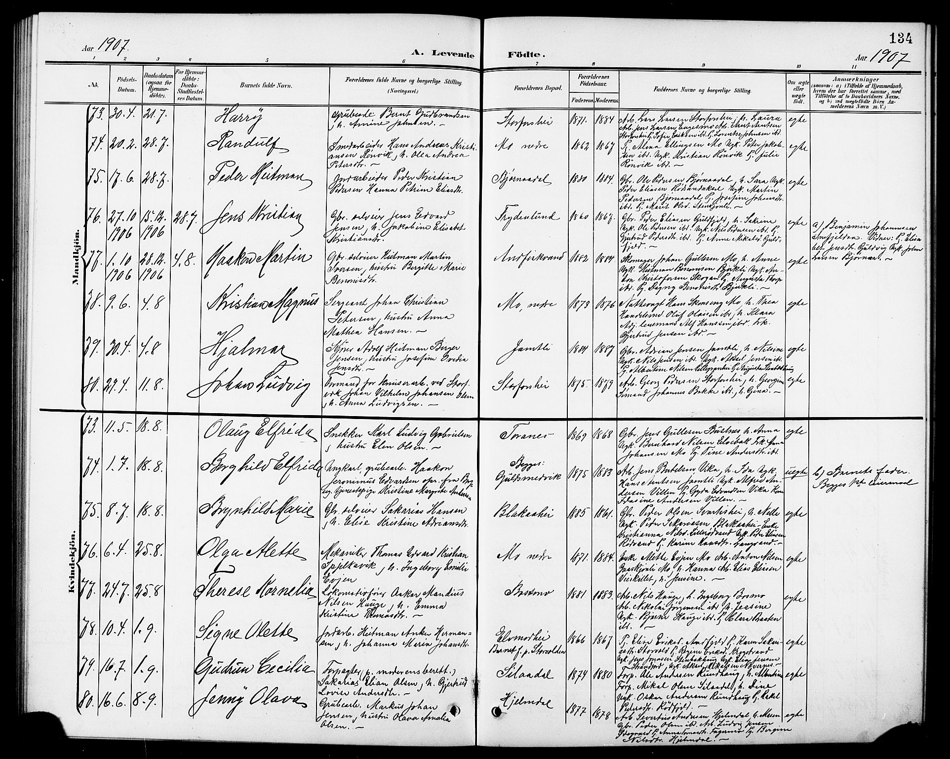 Ministerialprotokoller, klokkerbøker og fødselsregistre - Nordland, AV/SAT-A-1459/827/L0422: Parish register (copy) no. 827C11, 1899-1912, p. 134