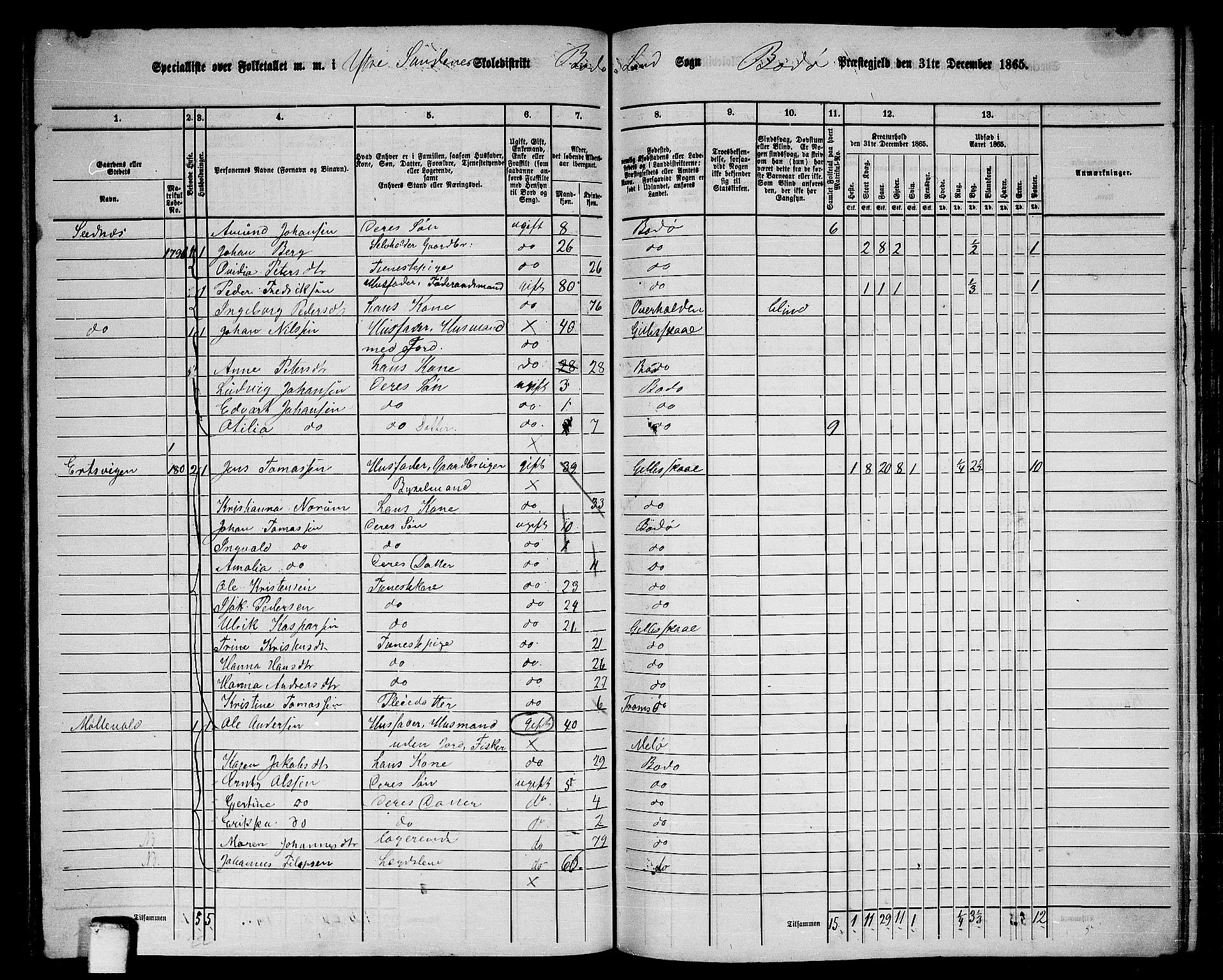 RA, 1865 census for Bodø/Bodø, 1865, p. 98