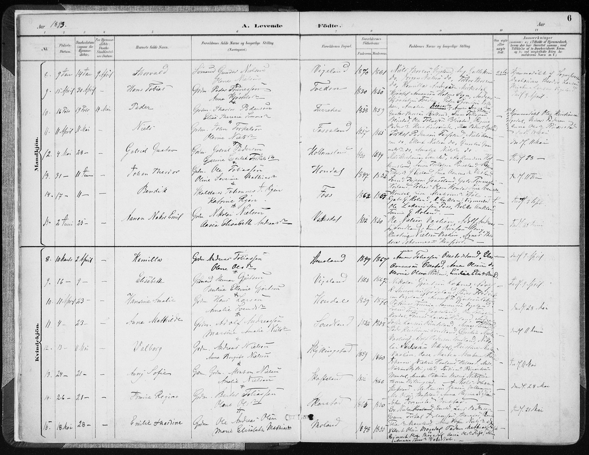 Sør-Audnedal sokneprestkontor, AV/SAK-1111-0039/F/Fa/Fab/L0010: Parish register (official) no. A 10, 1892-1913, p. 6