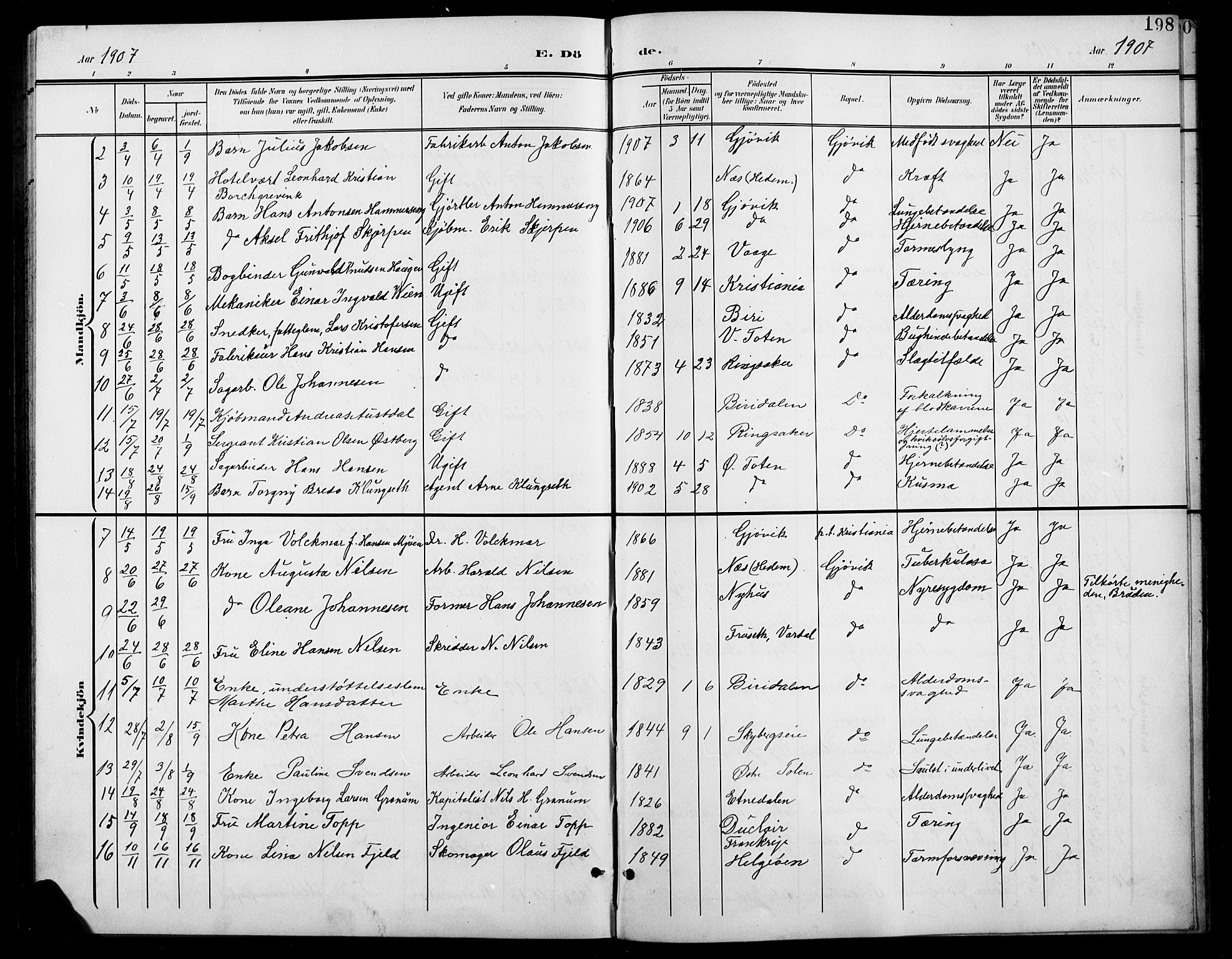 Vardal prestekontor, SAH/PREST-100/H/Ha/Hab/L0012: Parish register (copy) no. 12, 1902-1911, p. 198