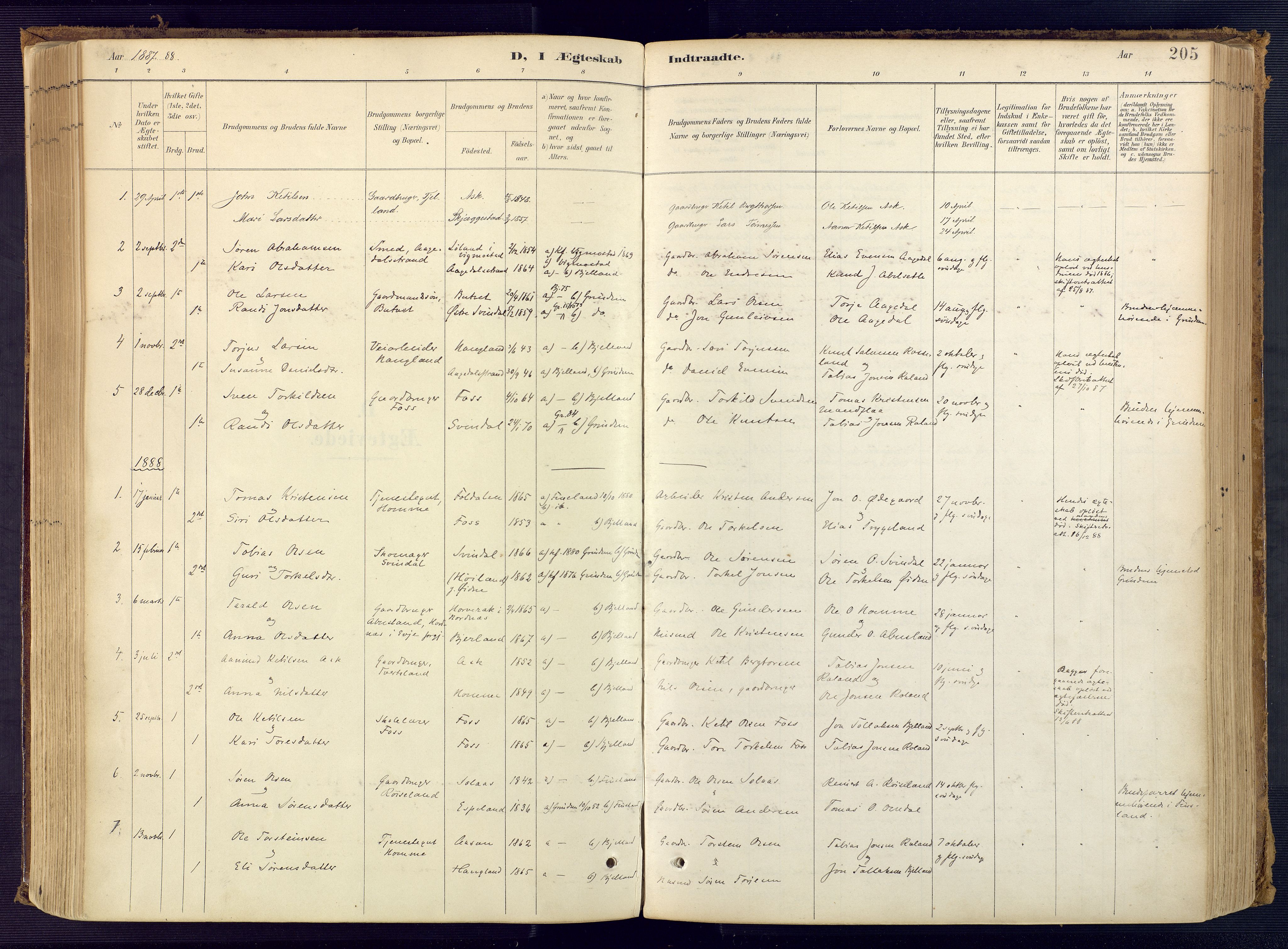 Bjelland sokneprestkontor, SAK/1111-0005/F/Fa/Faa/L0004: Parish register (official) no. A 4, 1887-1923, p. 205
