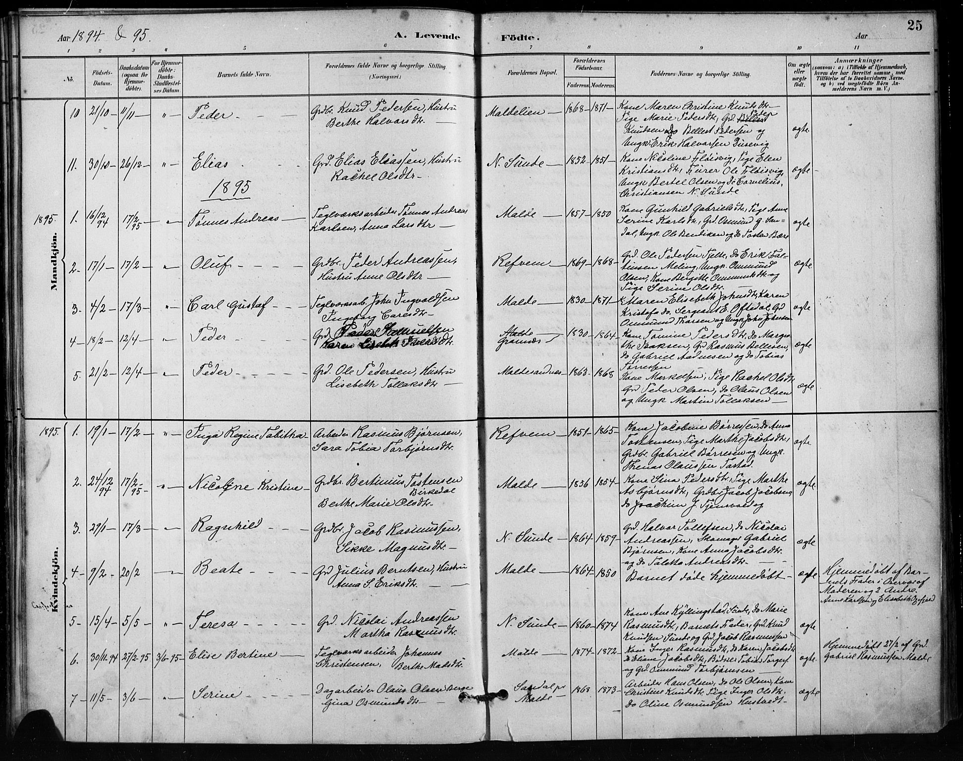 Håland sokneprestkontor, AV/SAST-A-101802/001/30BA/L0011: Parish register (official) no. A 10, 1883-1900, p. 25