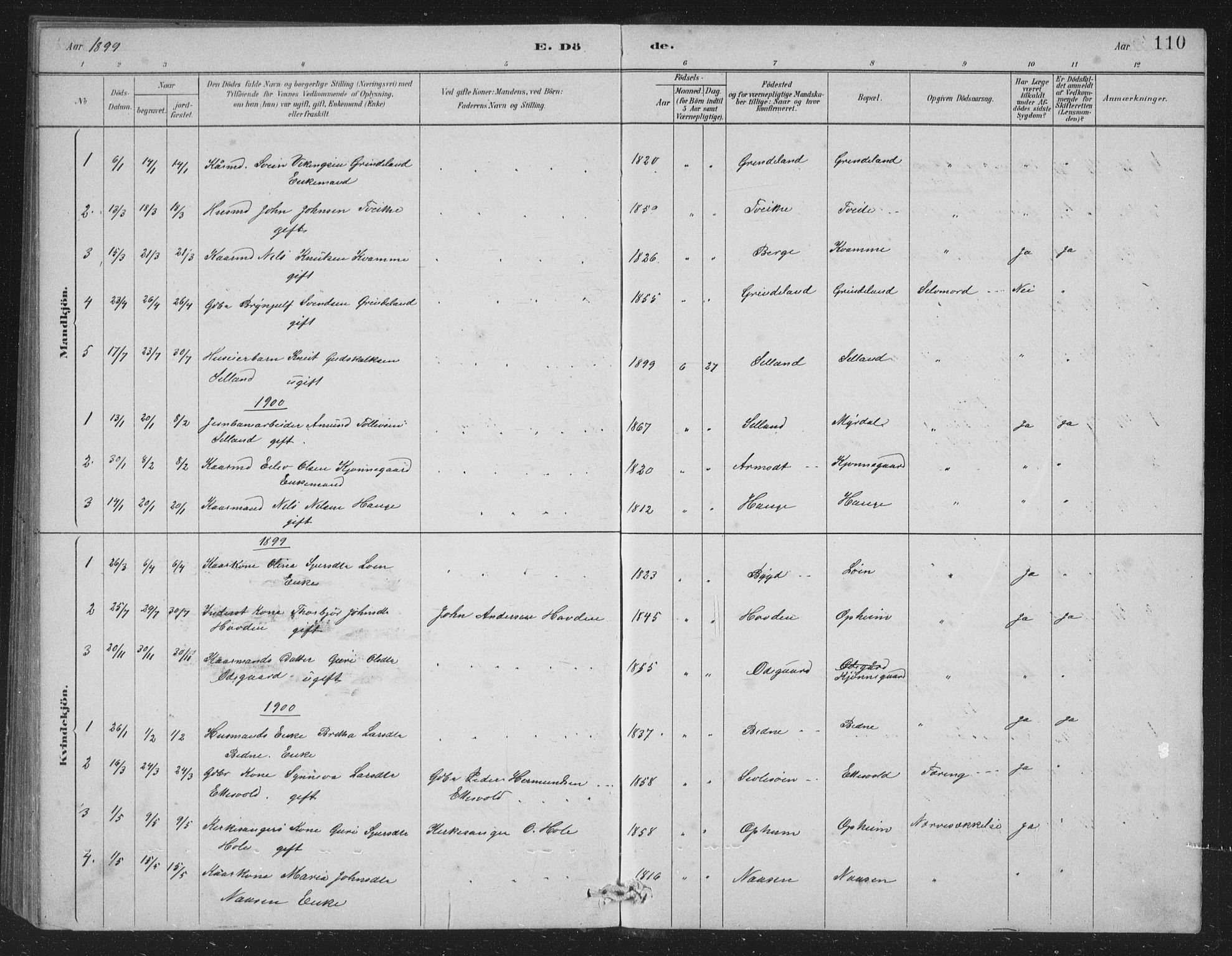 Vossestrand Sokneprestembete, SAB/A-79101/H/Hab: Parish register (copy) no. A 2, 1880-1902, p. 110