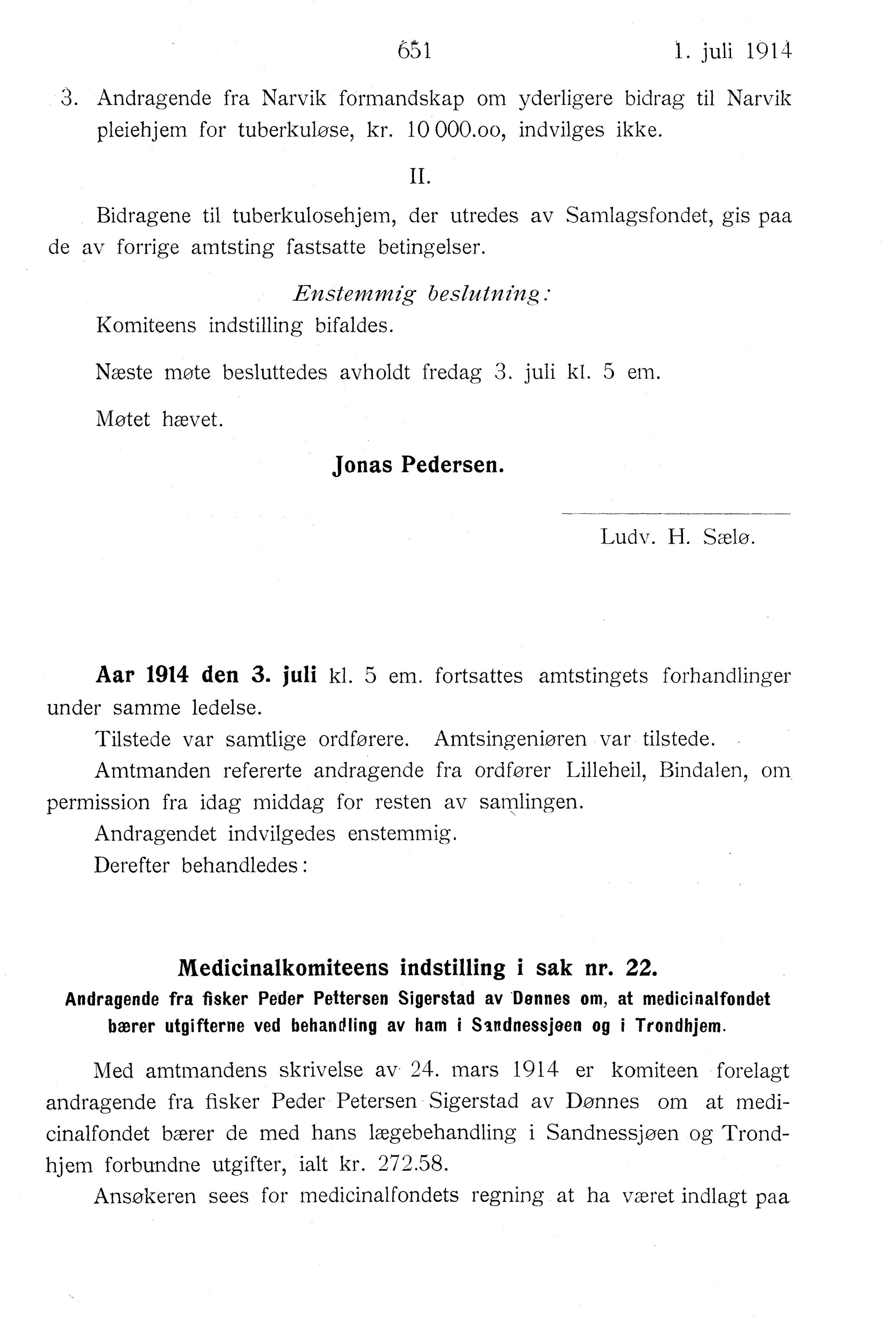 Nordland Fylkeskommune. Fylkestinget, AIN/NFK-17/176/A/Ac/L0037: Fylkestingsforhandlinger 1914, 1914, p. 651