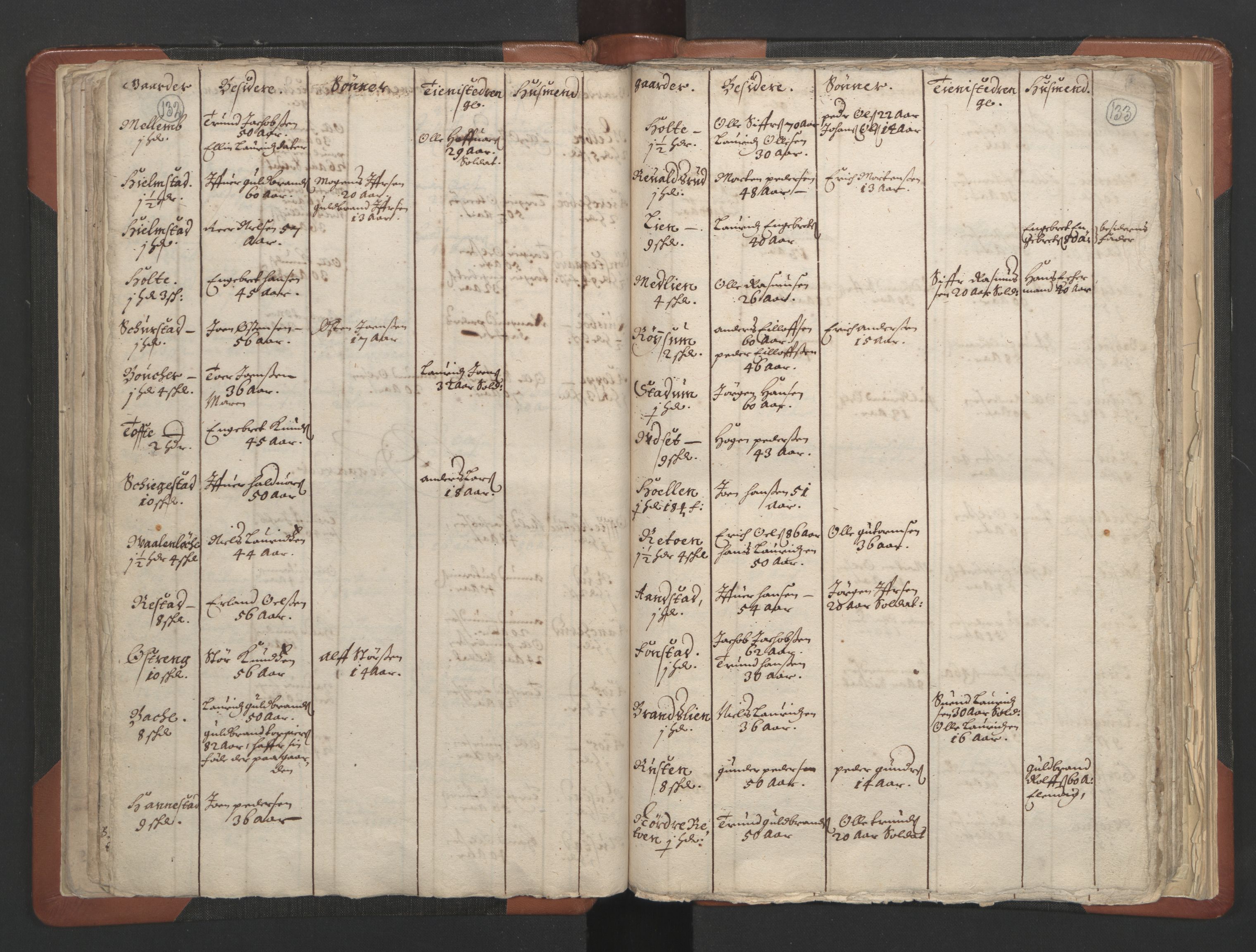 RA, Vicar's Census 1664-1666, no. 6: Gudbrandsdal deanery, 1664-1666, p. 132-133