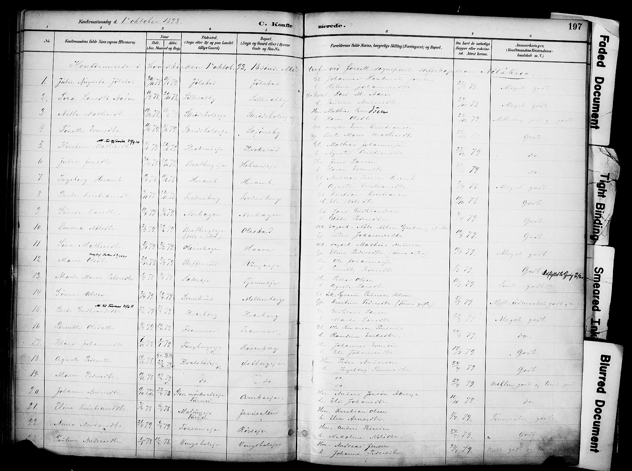 Ringsaker prestekontor, AV/SAH-PREST-014/K/Ka/L0017: Parish register (official) no. 17, 1891-1902, p. 197