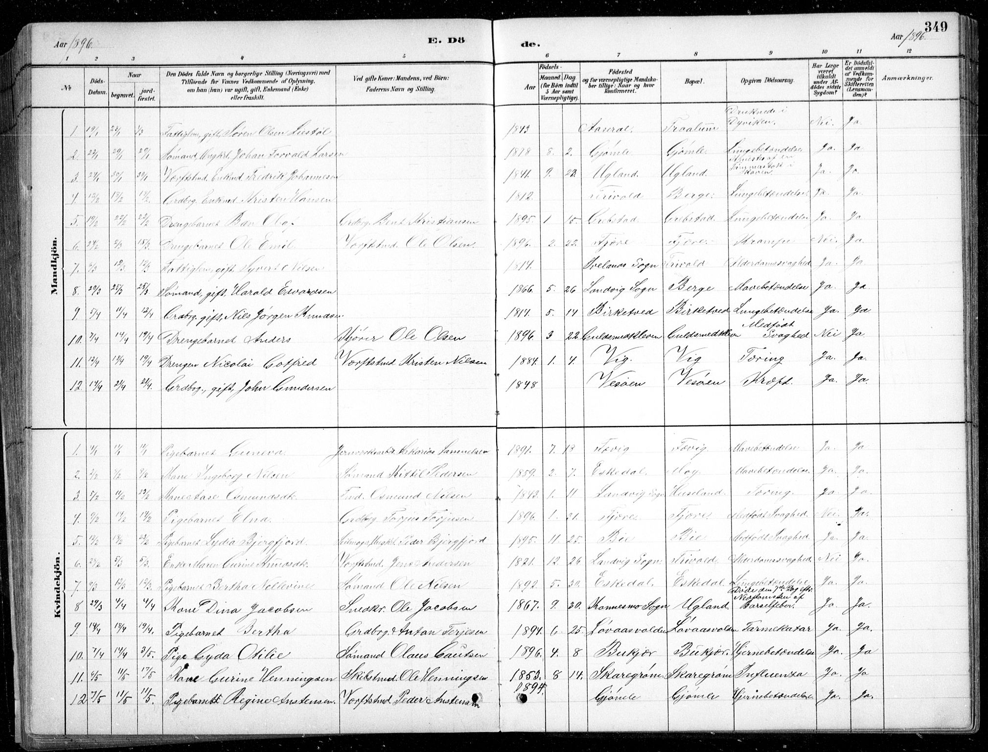 Fjære sokneprestkontor, SAK/1111-0011/F/Fb/L0011: Parish register (copy) no. B 11, 1881-1905, p. 349