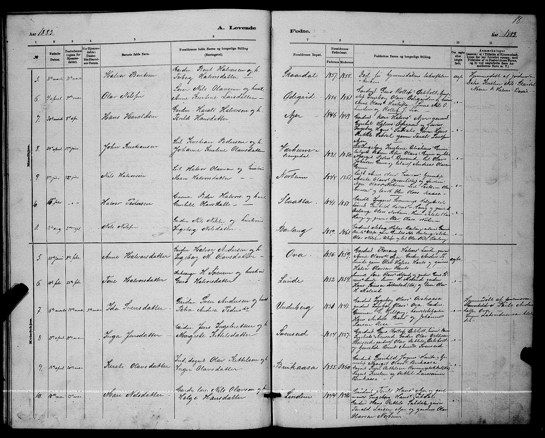 Lunde kirkebøker, SAKO/A-282/G/Ga/L0001b: Parish register (copy) no. I 1, 1879-1887, p. 18