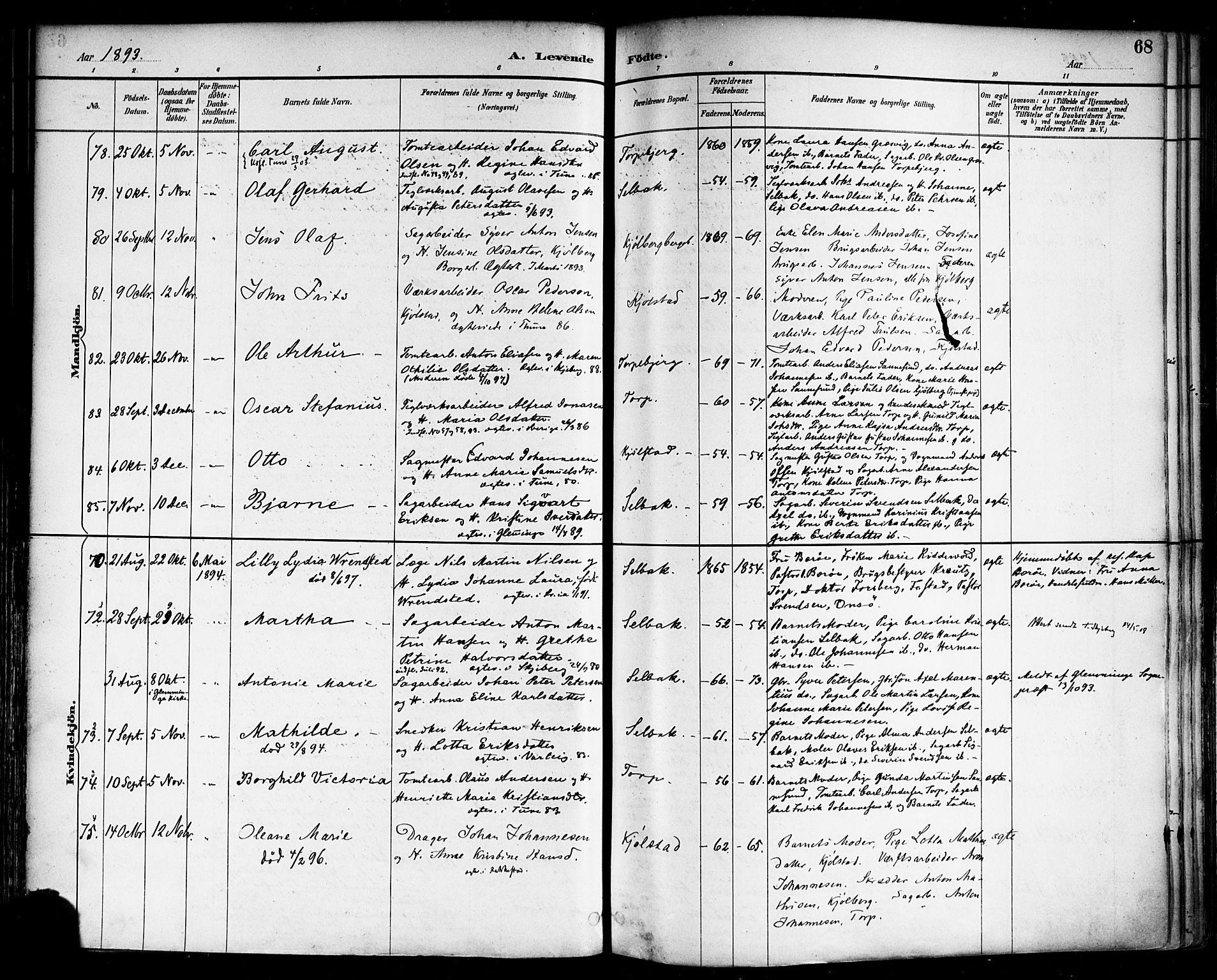 Borge prestekontor Kirkebøker, SAO/A-10903/F/Fa/L0008: Parish register (official) no. I 8A, 1887-1902, p. 68