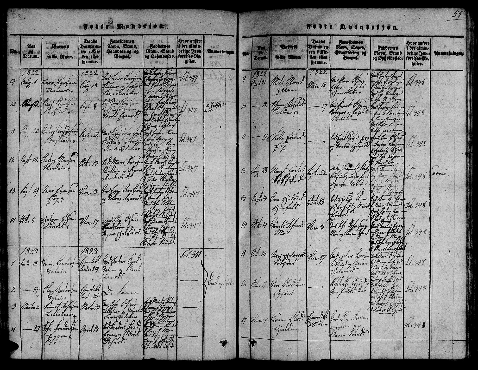 Ministerialprotokoller, klokkerbøker og fødselsregistre - Sør-Trøndelag, SAT/A-1456/691/L1067: Parish register (official) no. 691A03 /3, 1816-1826, p. 55