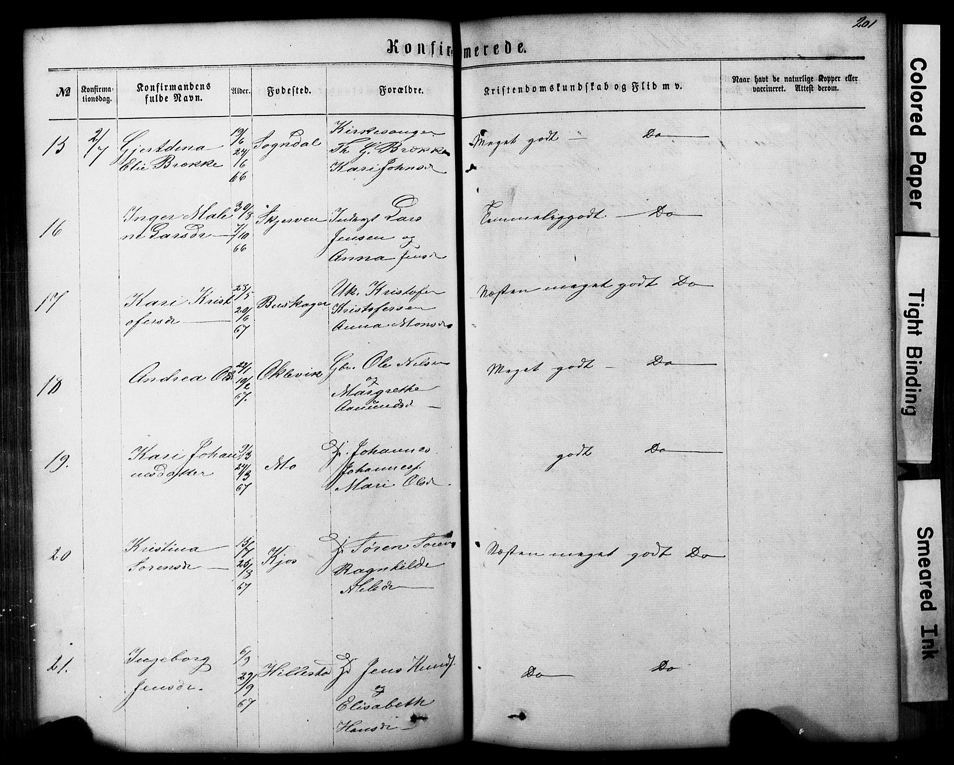 Hafslo sokneprestembete, AV/SAB-A-80301/H/Hab/Haba/L0001: Parish register (copy) no. A 1, 1866-1908, p. 201