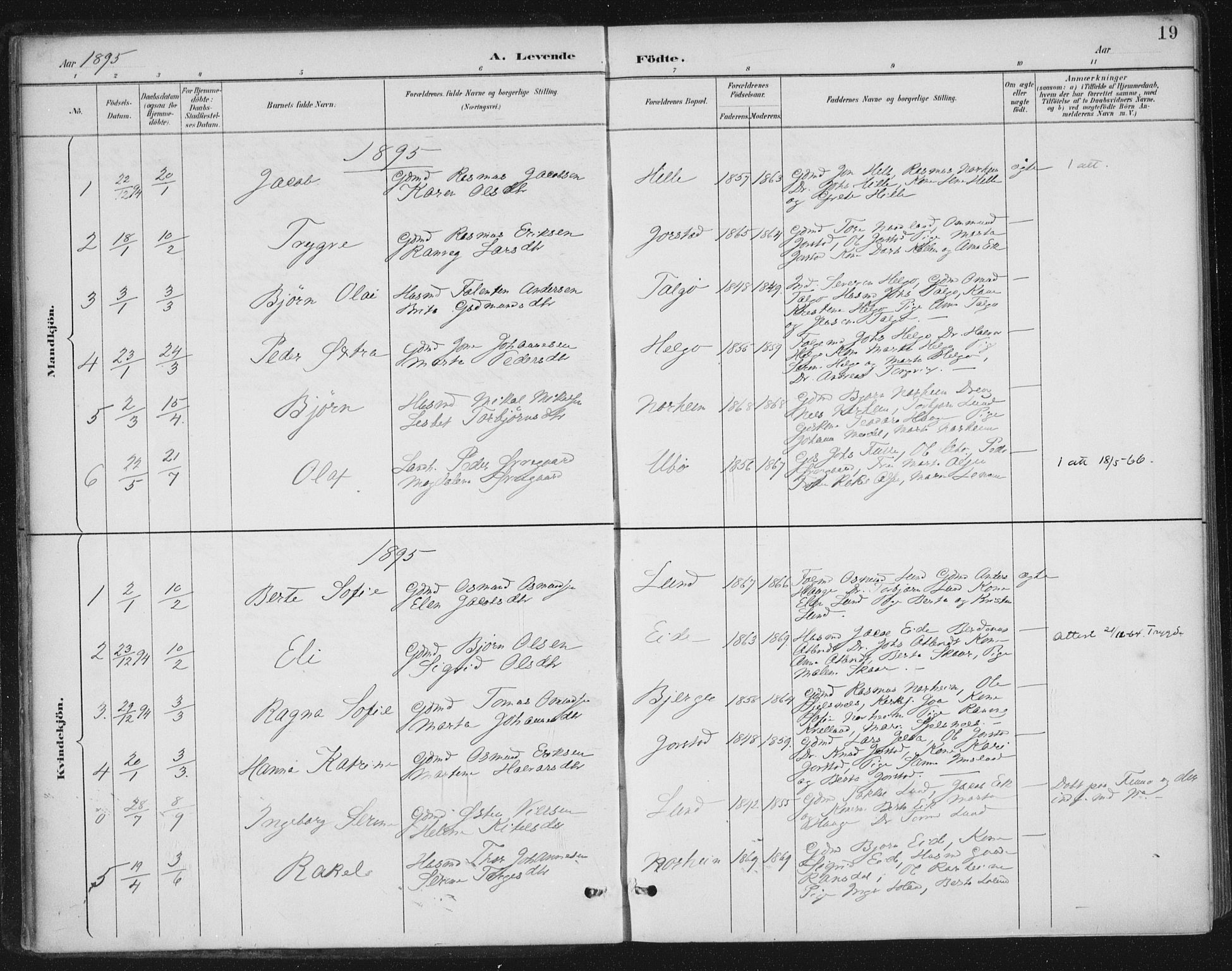 Nedstrand sokneprestkontor, AV/SAST-A-101841/01/IV: Parish register (official) no. A 13, 1887-1915, p. 19