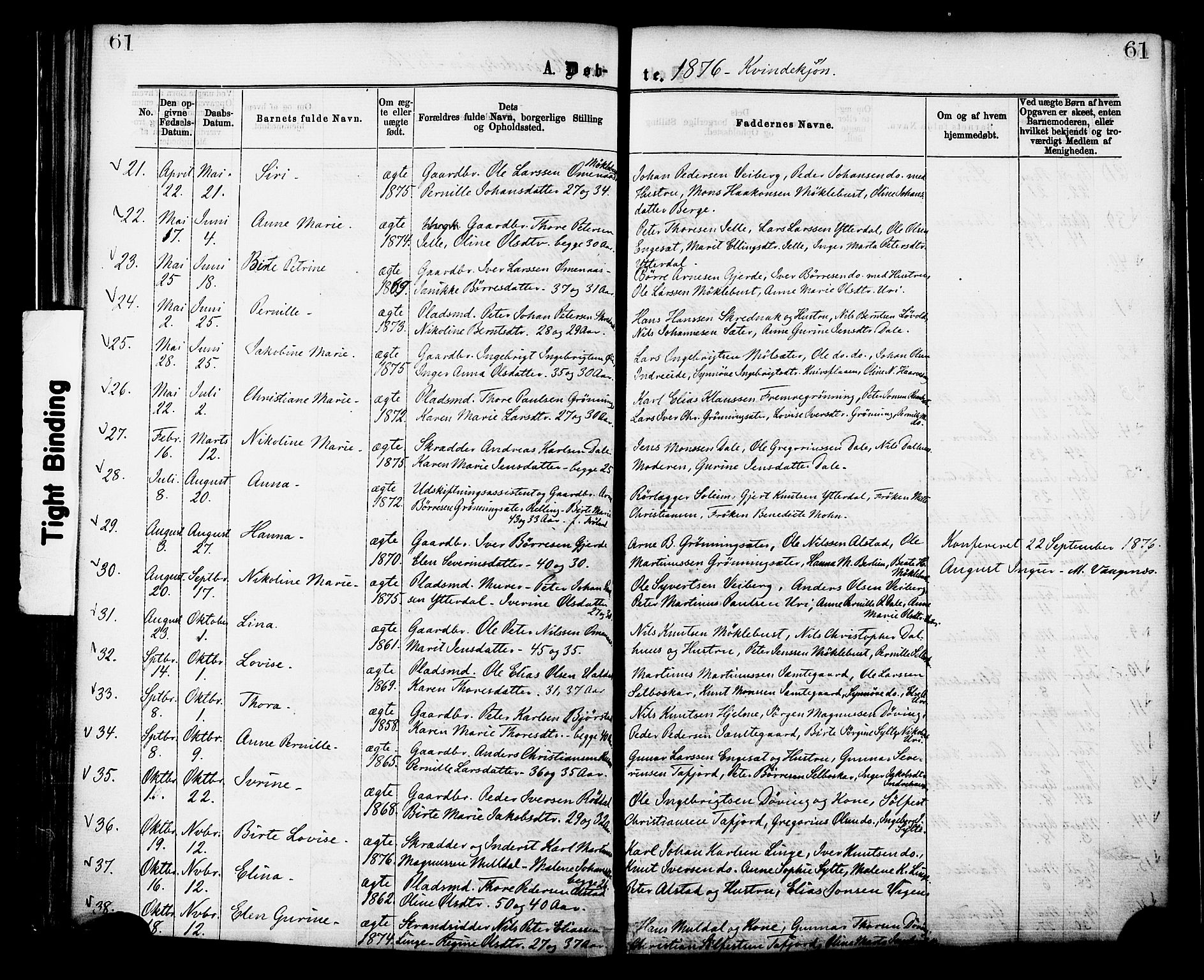 Ministerialprotokoller, klokkerbøker og fødselsregistre - Møre og Romsdal, AV/SAT-A-1454/519/L0254: Parish register (official) no. 519A13, 1868-1883, p. 61