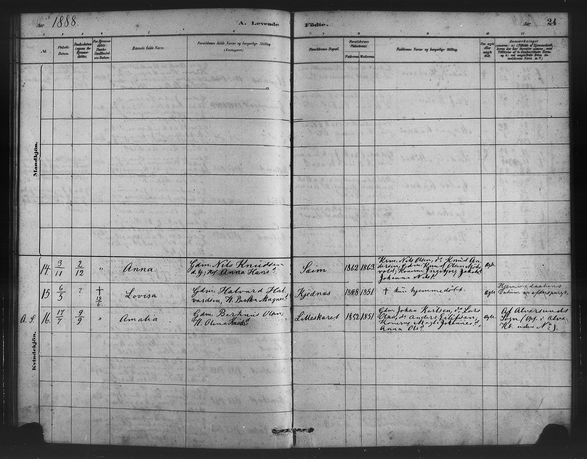 Alversund Sokneprestembete, AV/SAB-A-73901/H/Ha/Haa/Haad/L0001: Parish register (official) no. D 1, 1880-1898, p. 24