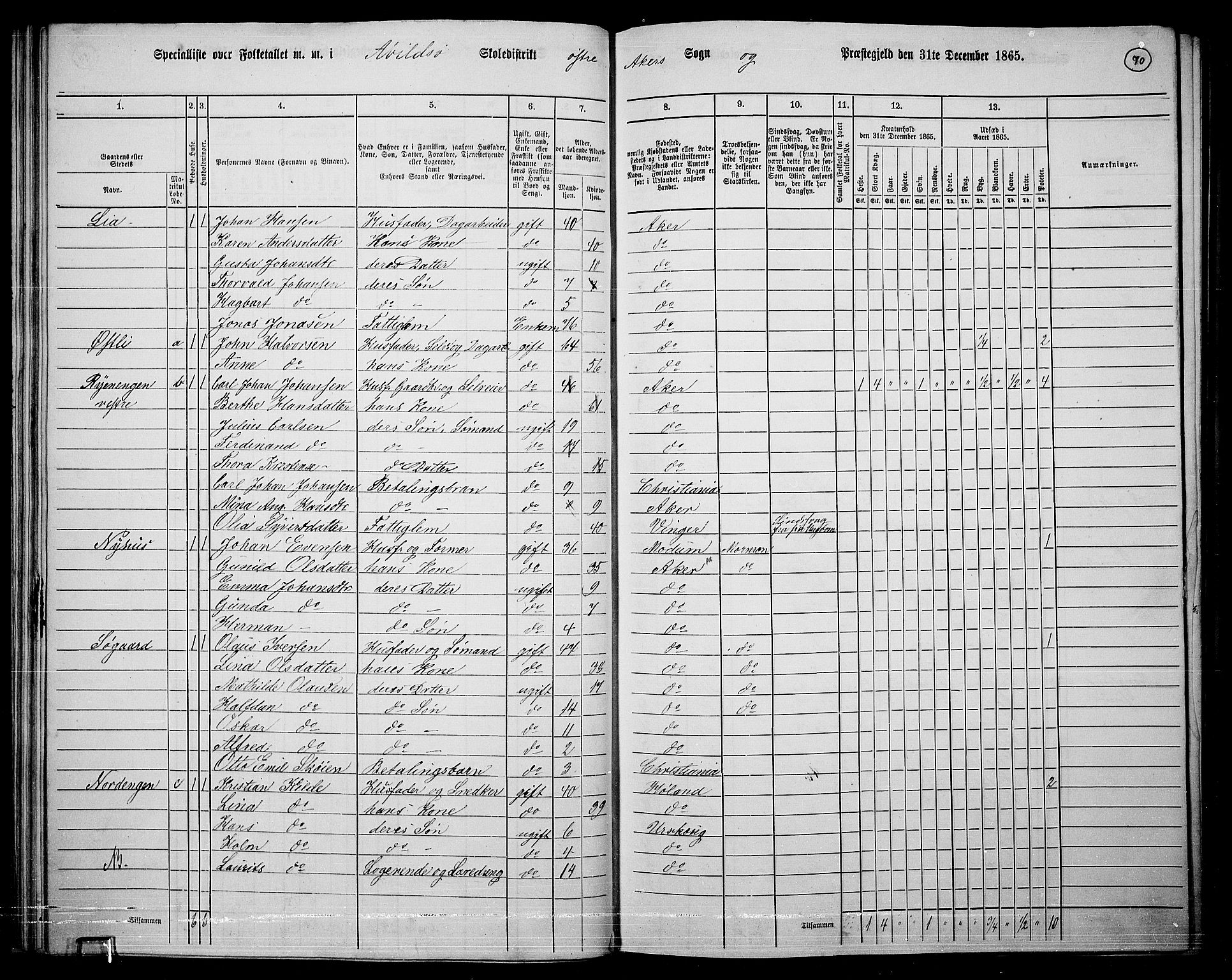 RA, 1865 census for Østre Aker, 1865, p. 294