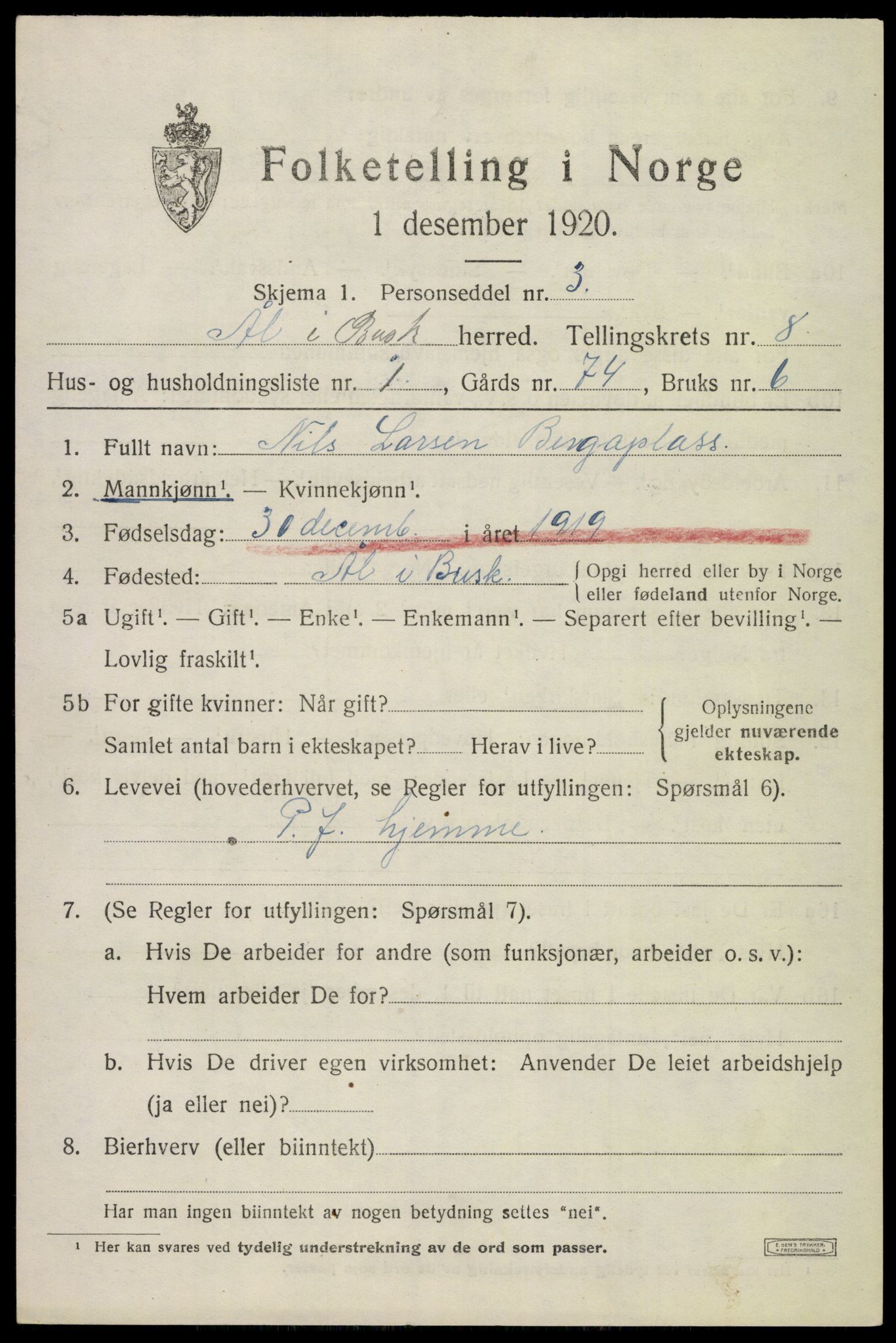 SAKO, 1920 census for Ål, 1920, p. 5352