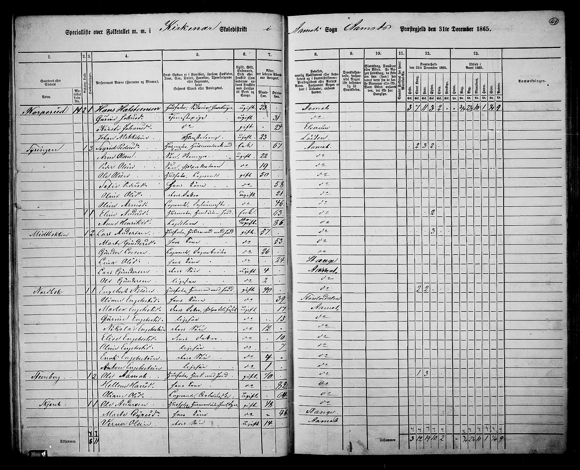 RA, 1865 census for Åmot, 1865, p. 38