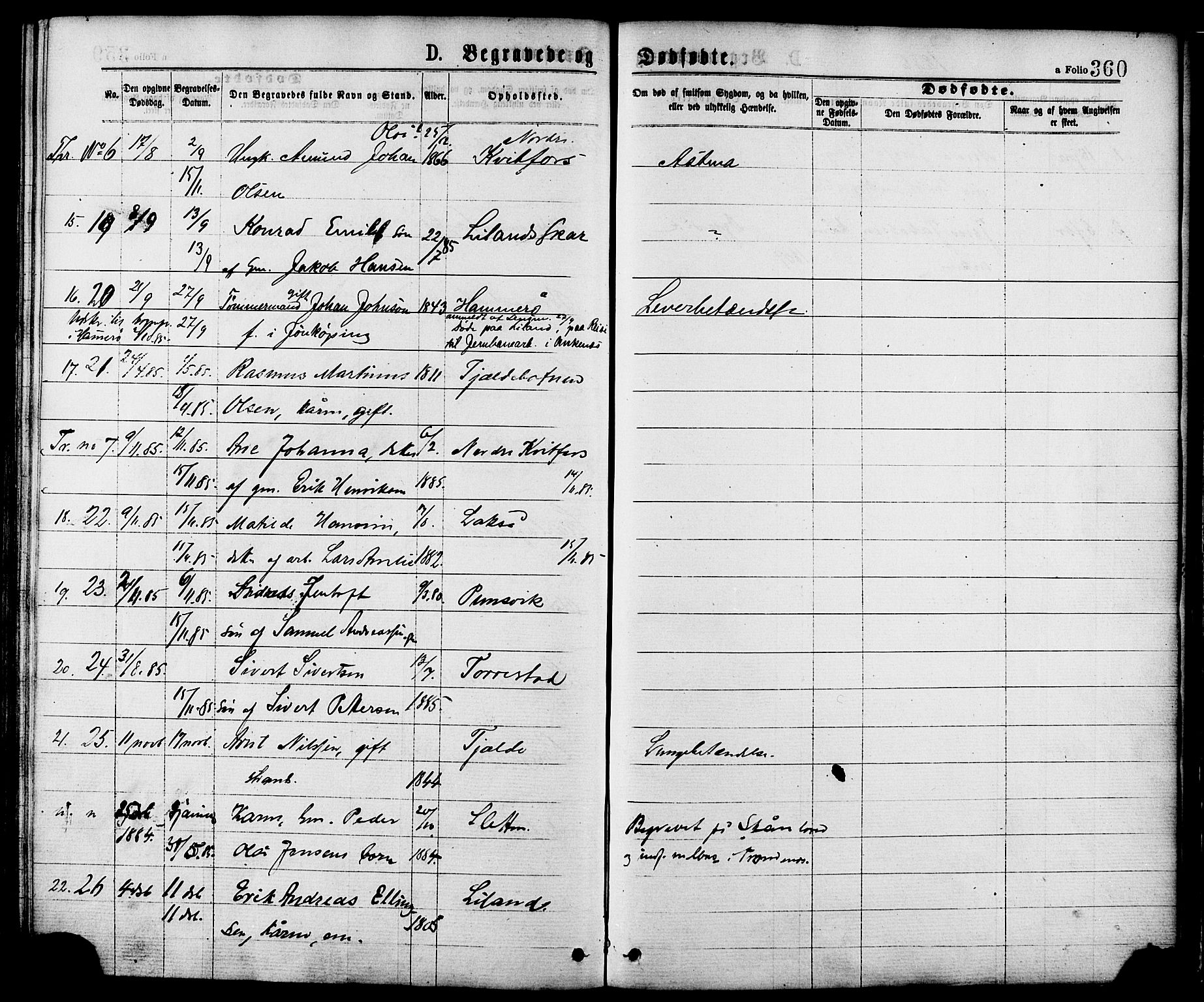 Ministerialprotokoller, klokkerbøker og fødselsregistre - Nordland, AV/SAT-A-1459/863/L0897: Parish register (official) no. 863A09, 1872-1886, p. 360