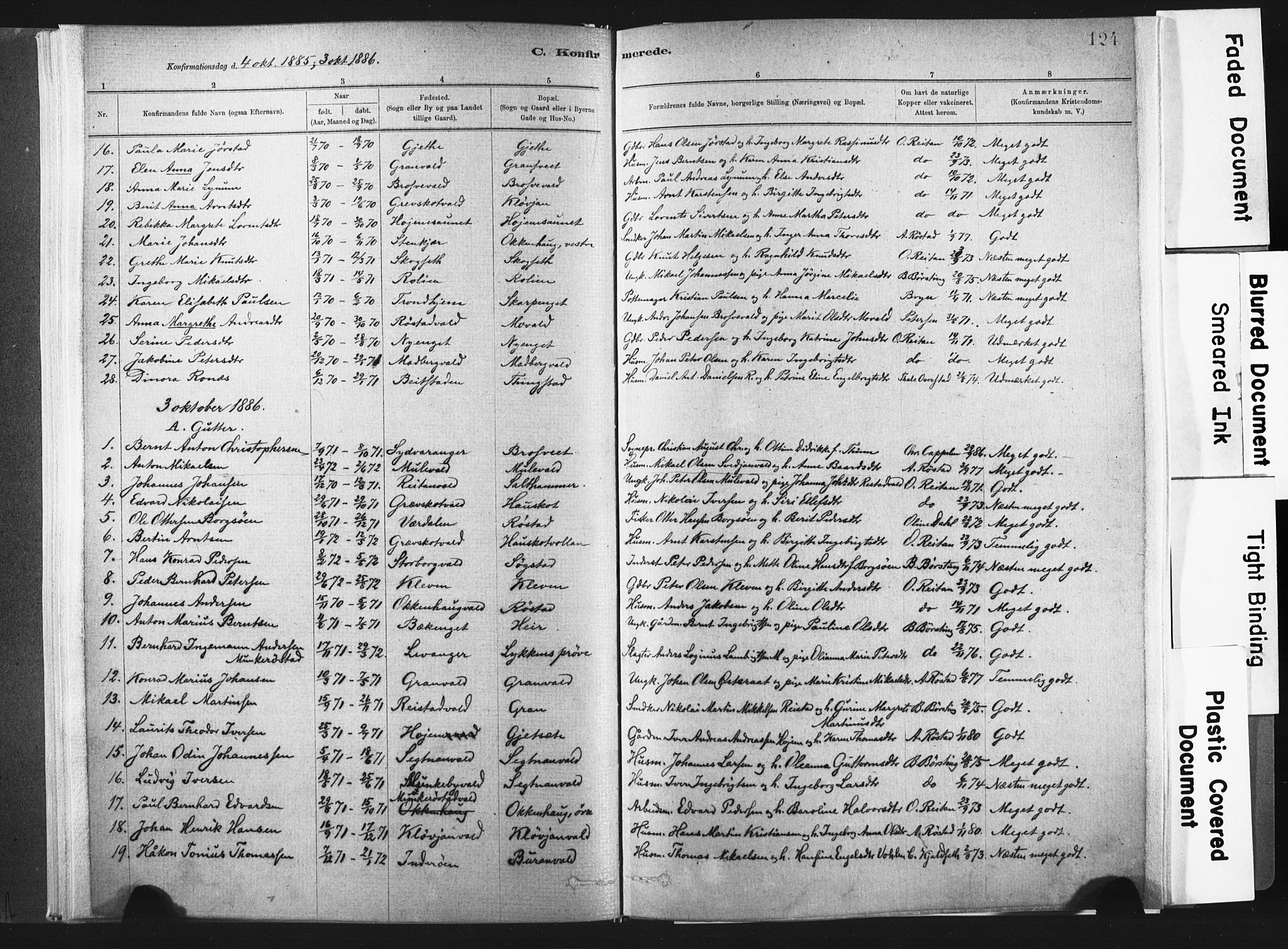Ministerialprotokoller, klokkerbøker og fødselsregistre - Nord-Trøndelag, SAT/A-1458/721/L0207: Parish register (official) no. 721A02, 1880-1911, p. 124