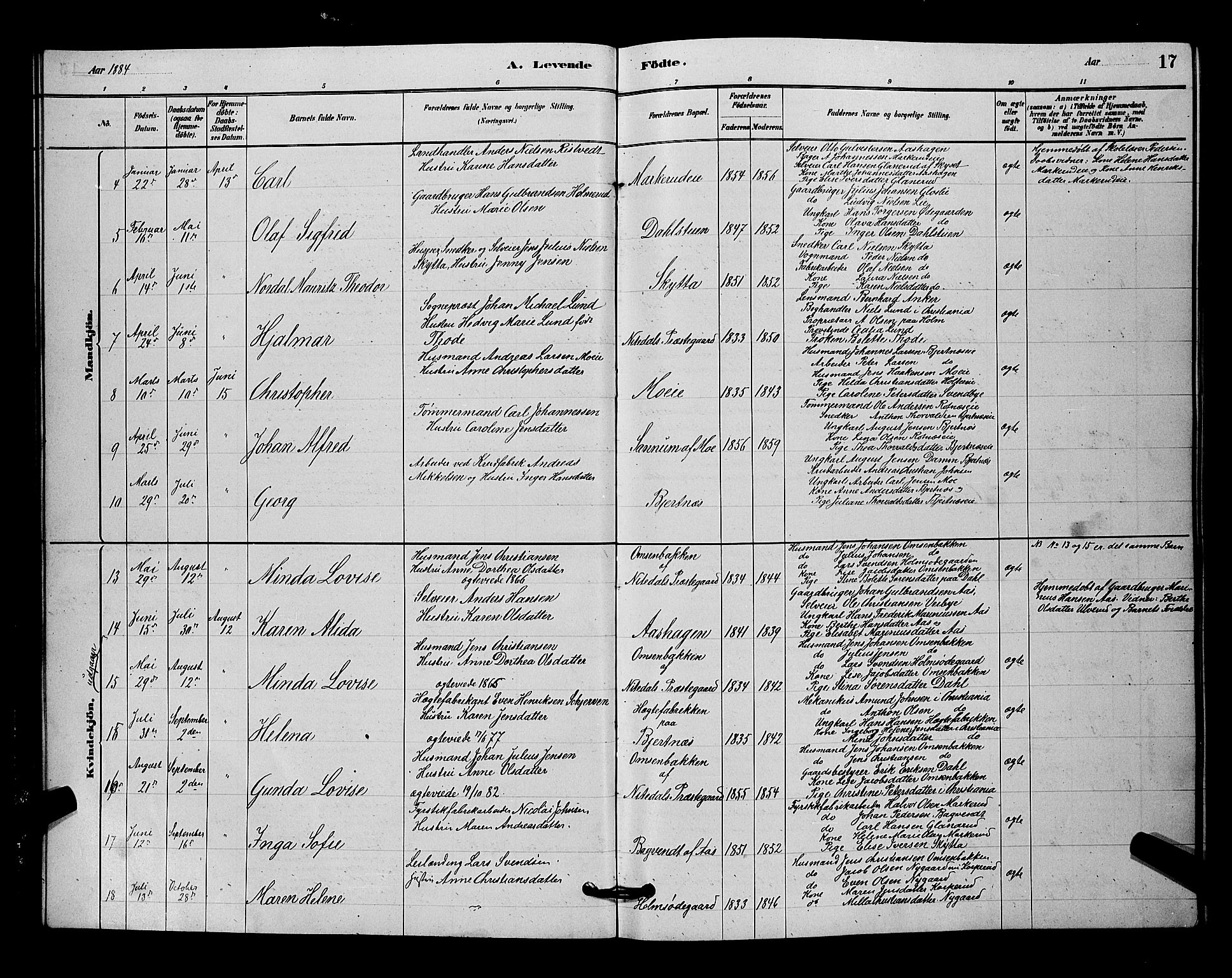 Nittedal prestekontor Kirkebøker, SAO/A-10365a/G/Ga/L0002: Parish register (copy) no. I 2, 1879-1901, p. 17