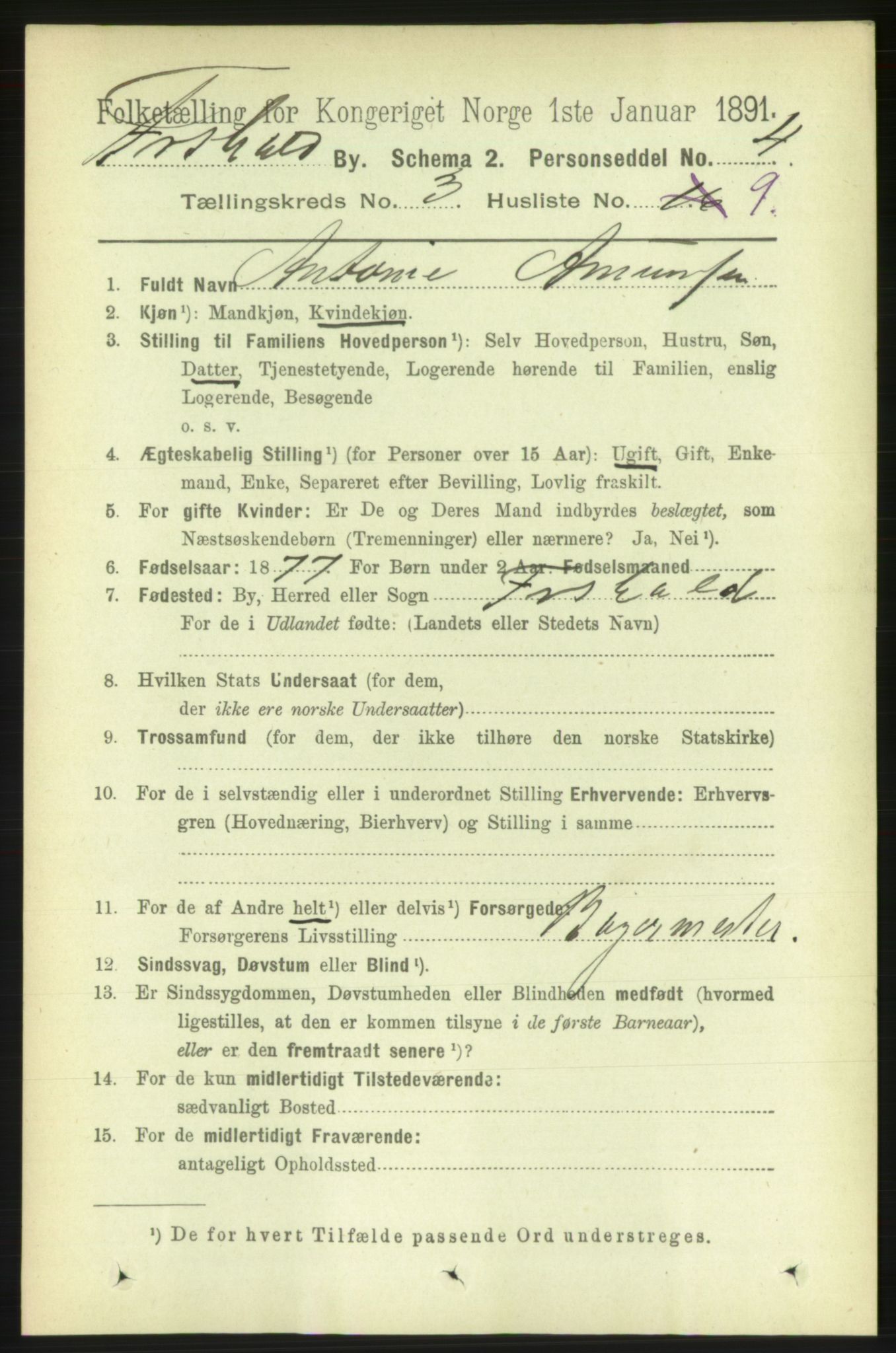 RA, 1891 census for 0101 Fredrikshald, 1891, p. 3343
