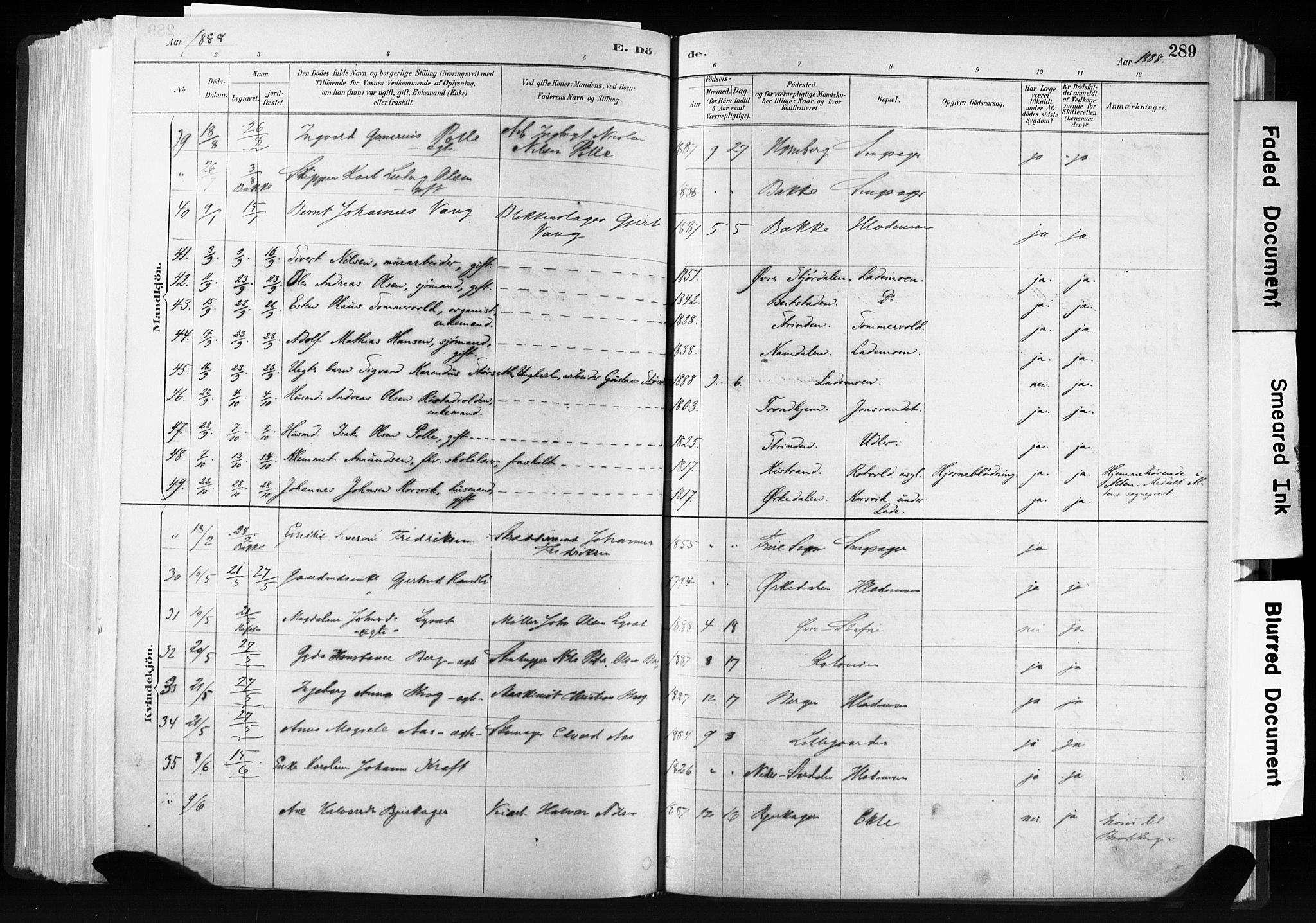 Ministerialprotokoller, klokkerbøker og fødselsregistre - Sør-Trøndelag, AV/SAT-A-1456/606/L0300: Parish register (official) no. 606A15, 1886-1893, p. 289