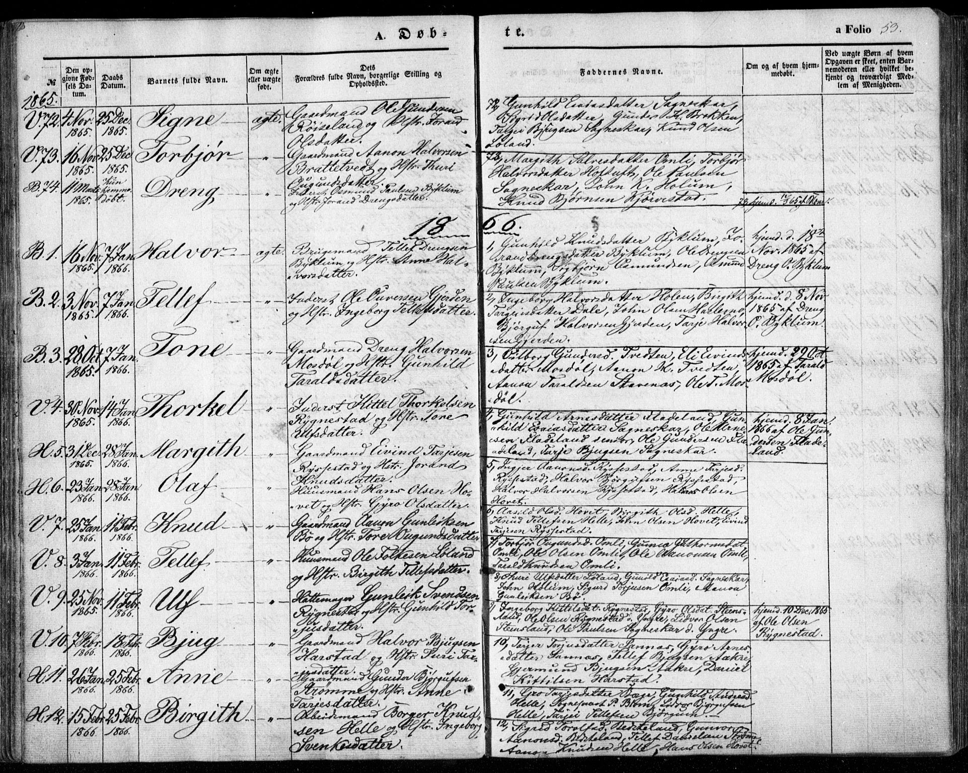 Valle sokneprestkontor, SAK/1111-0044/F/Fa/Fac/L0007: Parish register (official) no. A 7, 1854-1868, p. 53