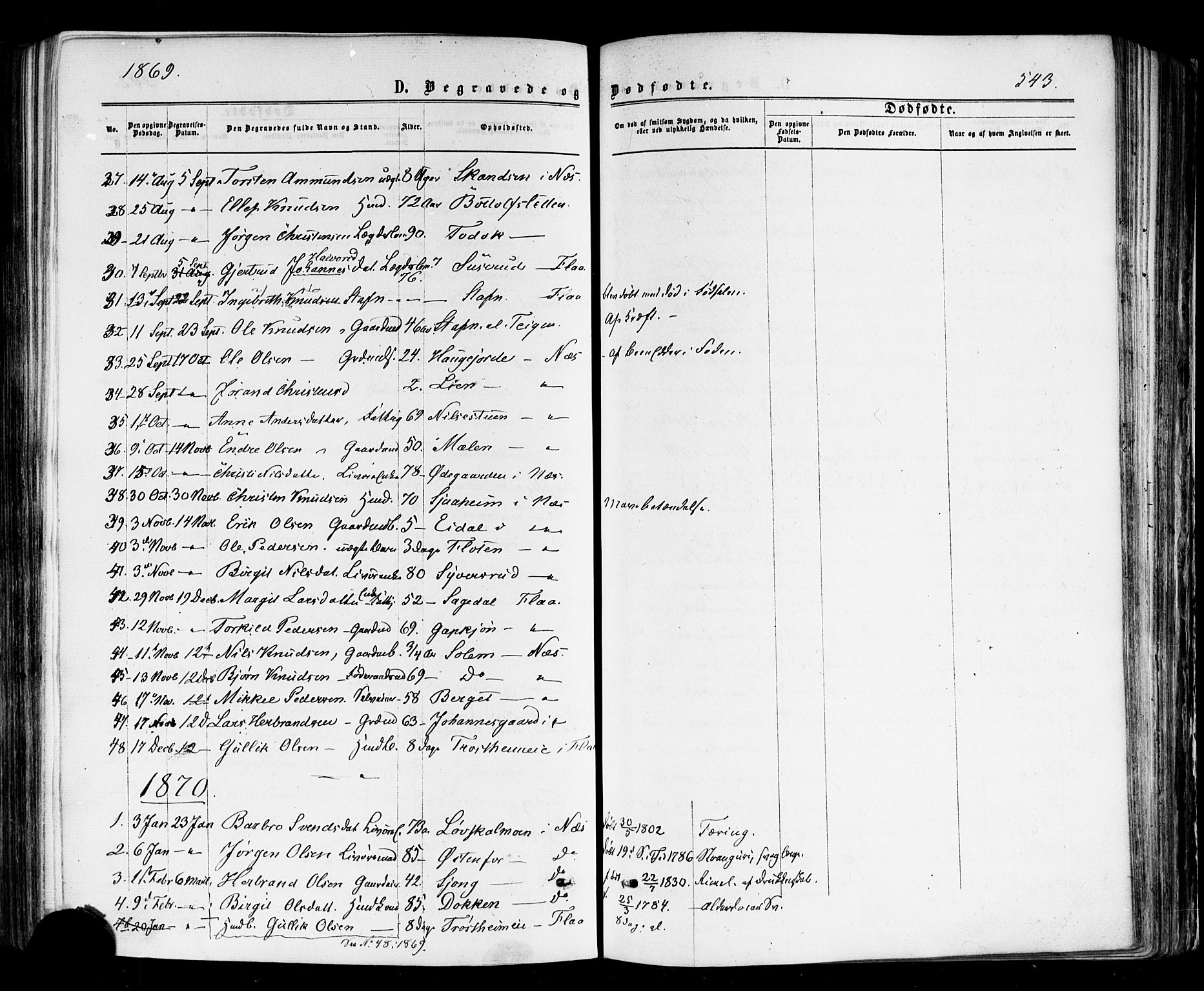 Nes kirkebøker, AV/SAKO-A-236/F/Fa/L0010: Parish register (official) no. 10, 1864-1880, p. 543