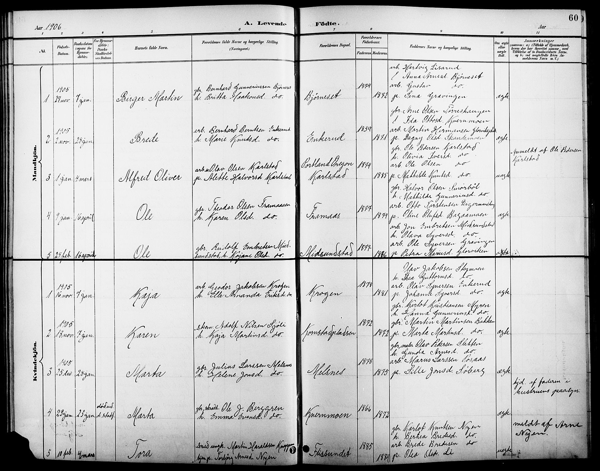 Åsnes prestekontor, AV/SAH-PREST-042/H/Ha/Hab/L0005: Parish register (copy) no. 5, 1895-1920, p. 60