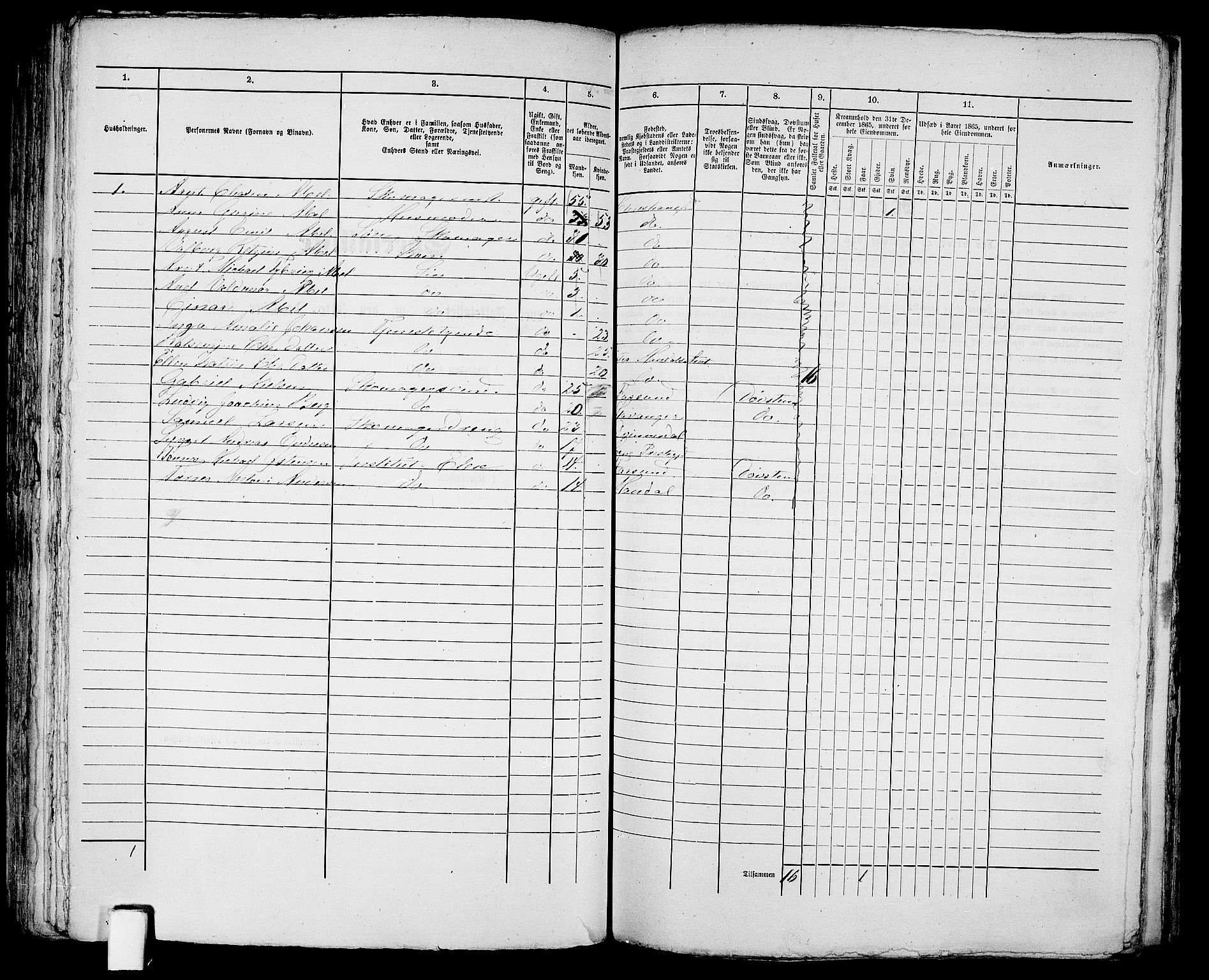 RA, 1865 census for Kristiansand, 1865, p. 255